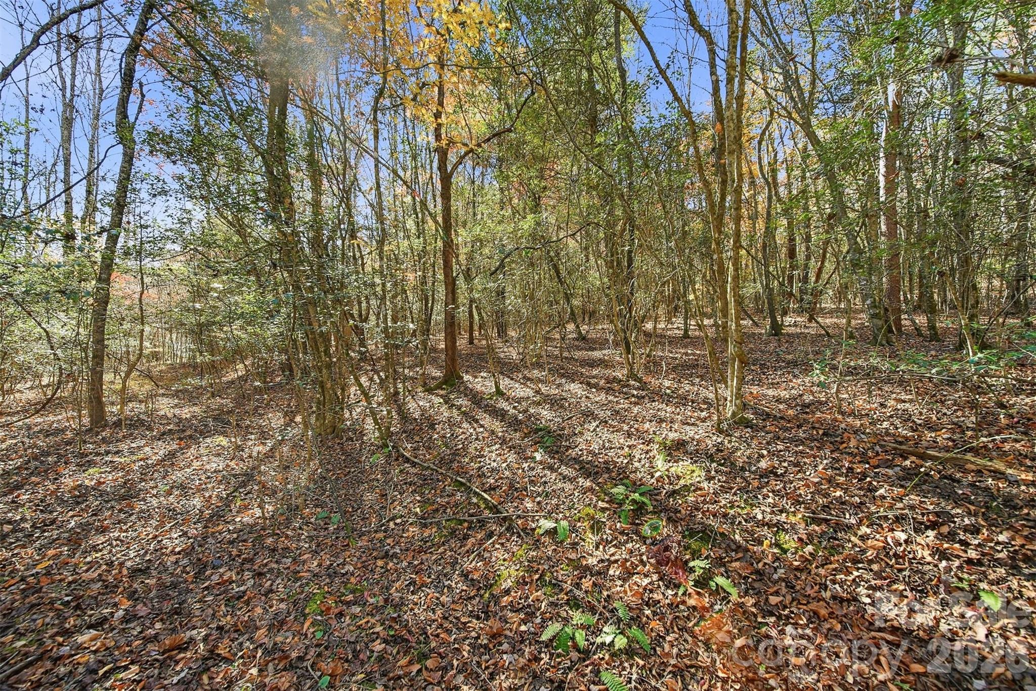 Vl Indian Grave Road Property Photo 2
