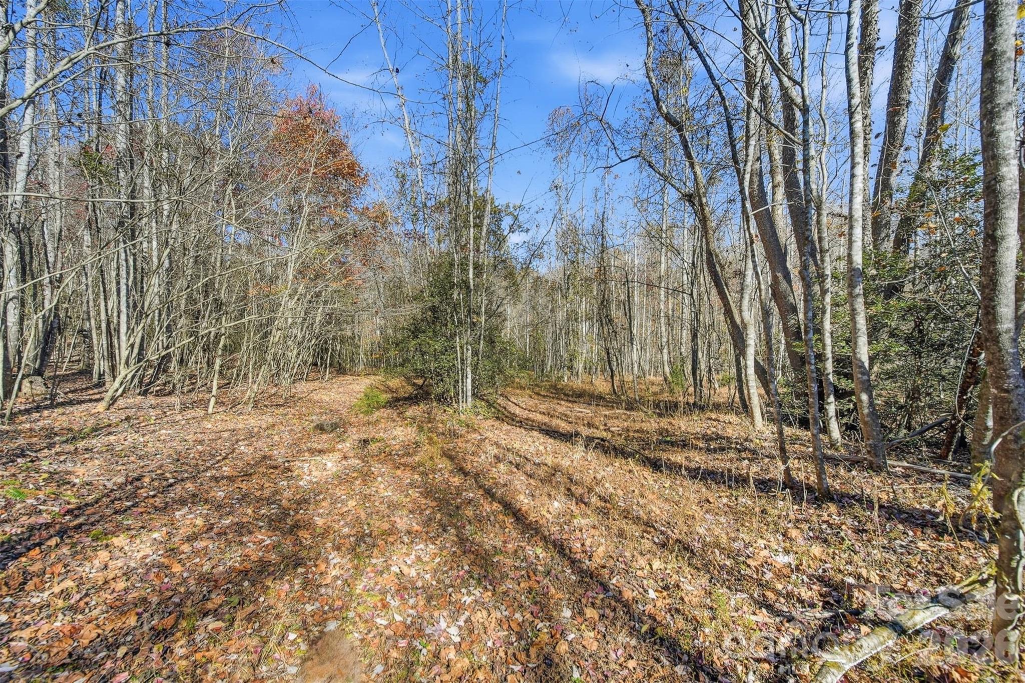 Vl Indian Grave Road Property Photo 3