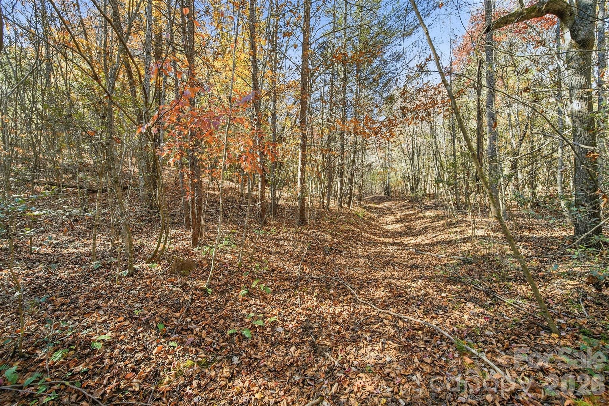 Vl Indian Grave Road Property Photo 4