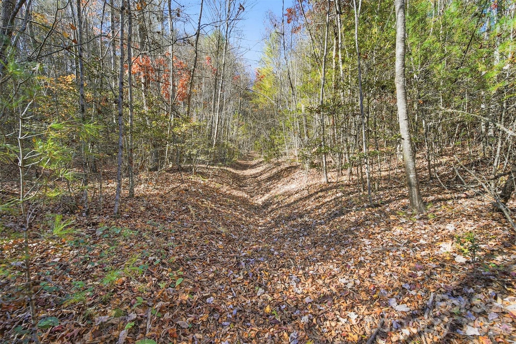 Vl Indian Grave Road Property Photo 5