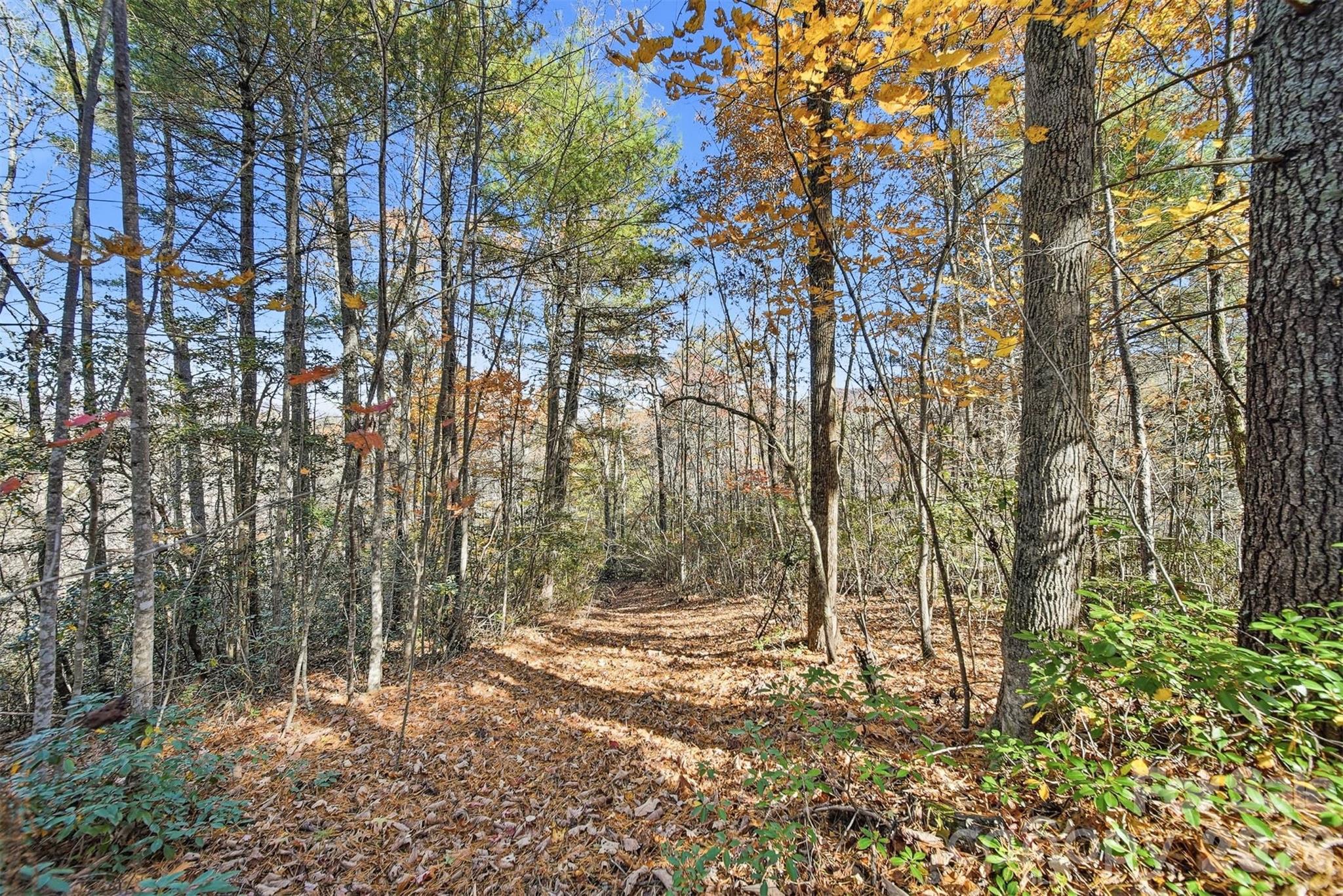 Vl Indian Grave Road Property Photo 6