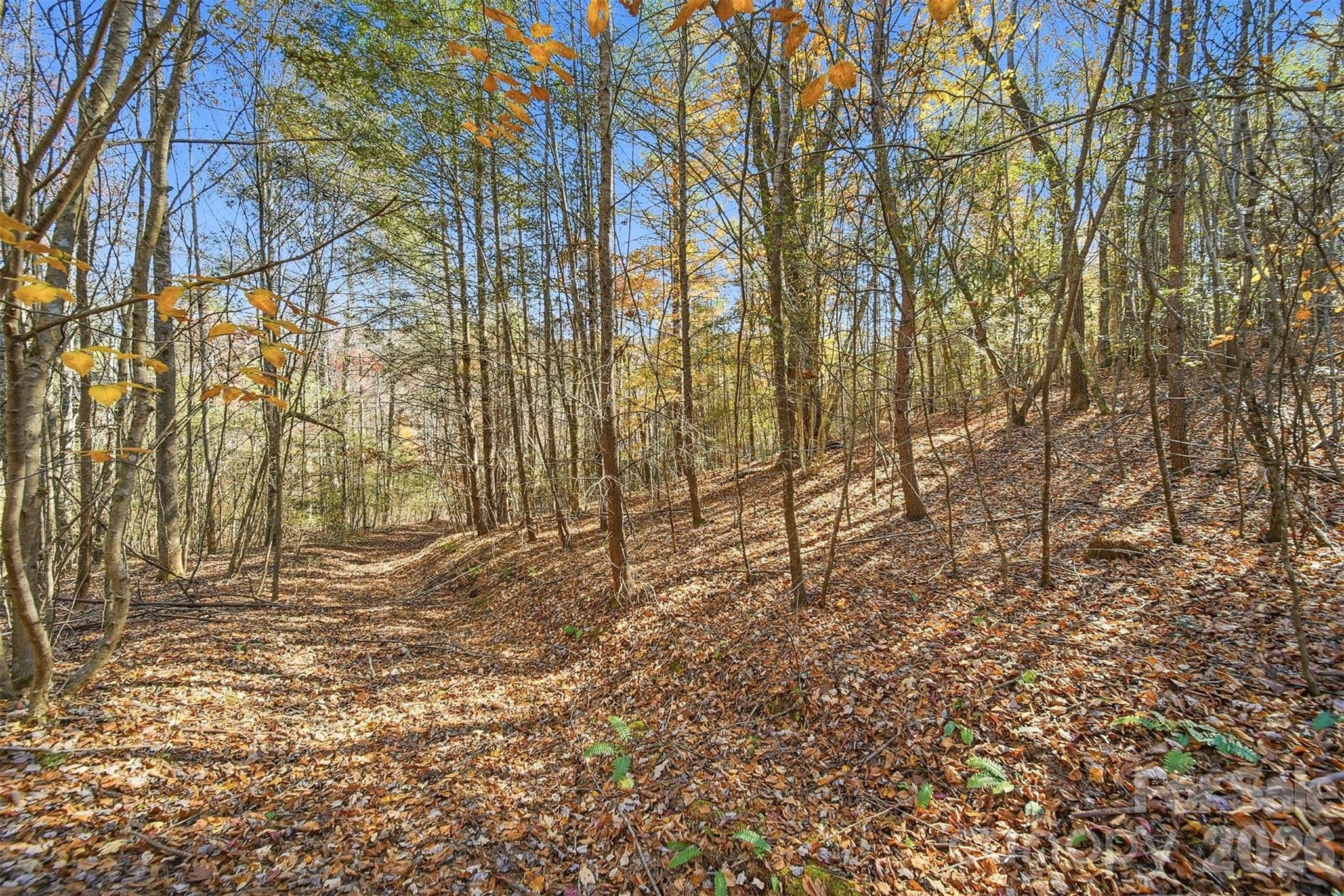 Vl Indian Grave Road Property Photo 7