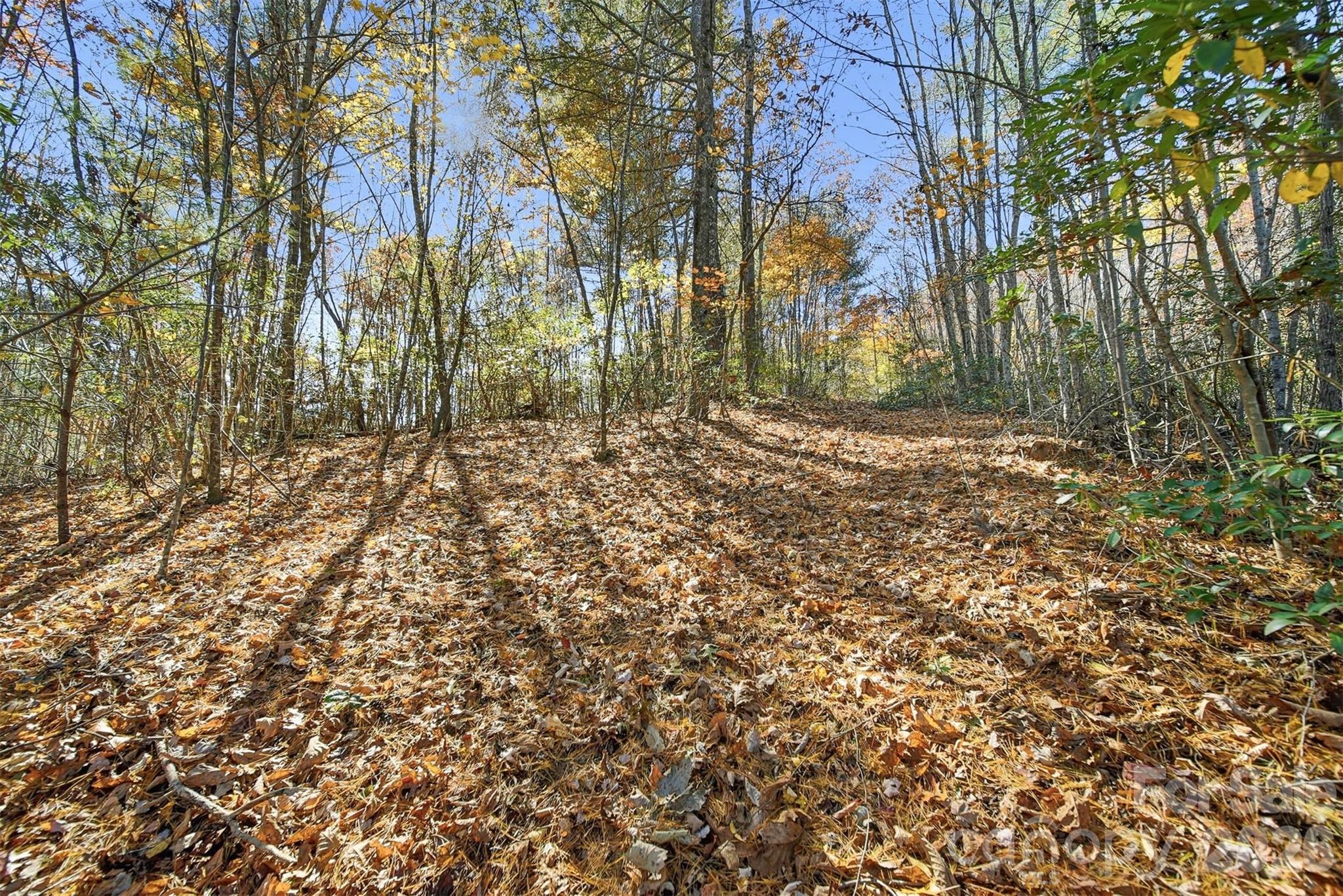 Vl Indian Grave Road Property Photo 8
