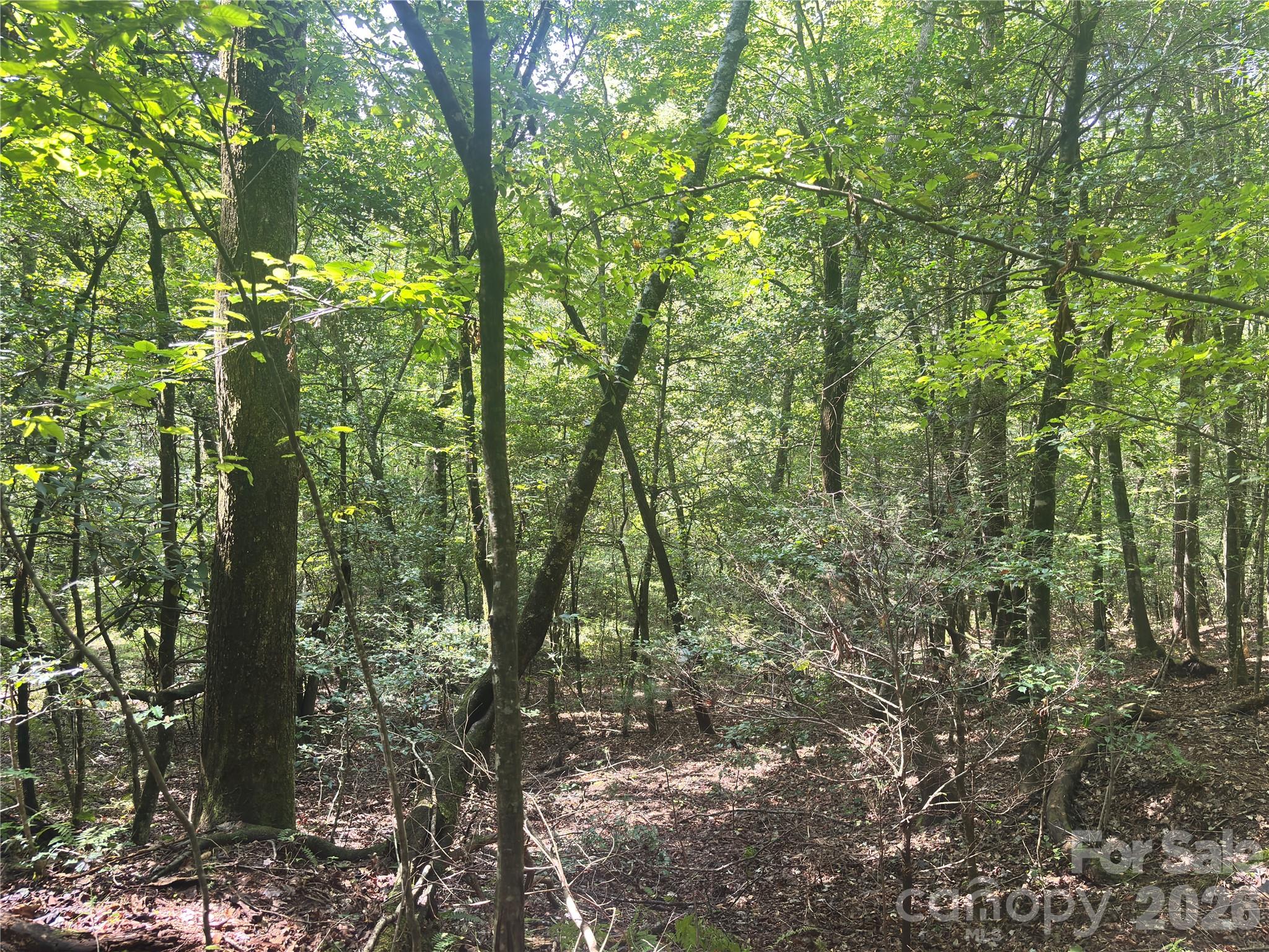 Vl Indian Grave Road Property Photo 22