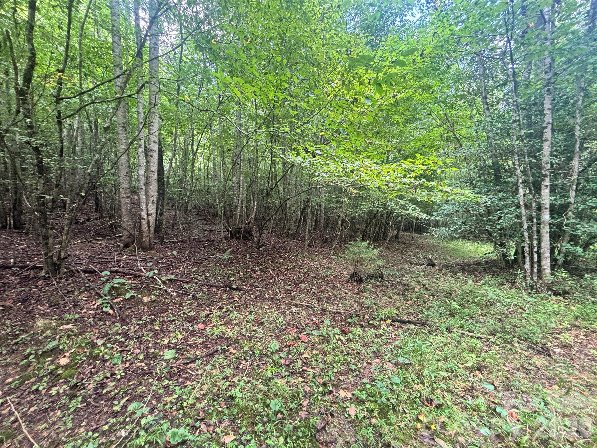 Vl Indian Grave Road Property Photo 23