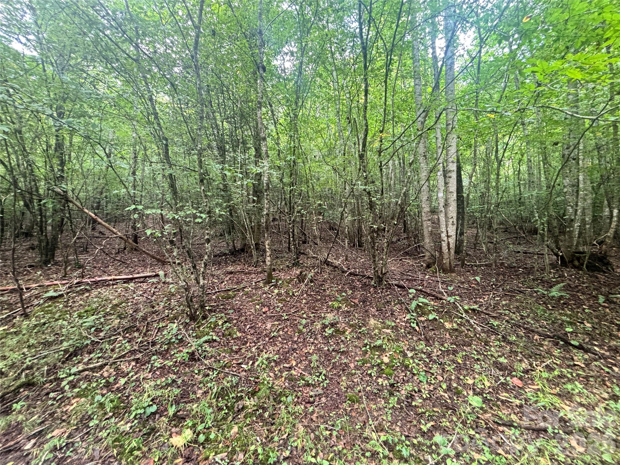 Vl Indian Grave Road Property Photo 24