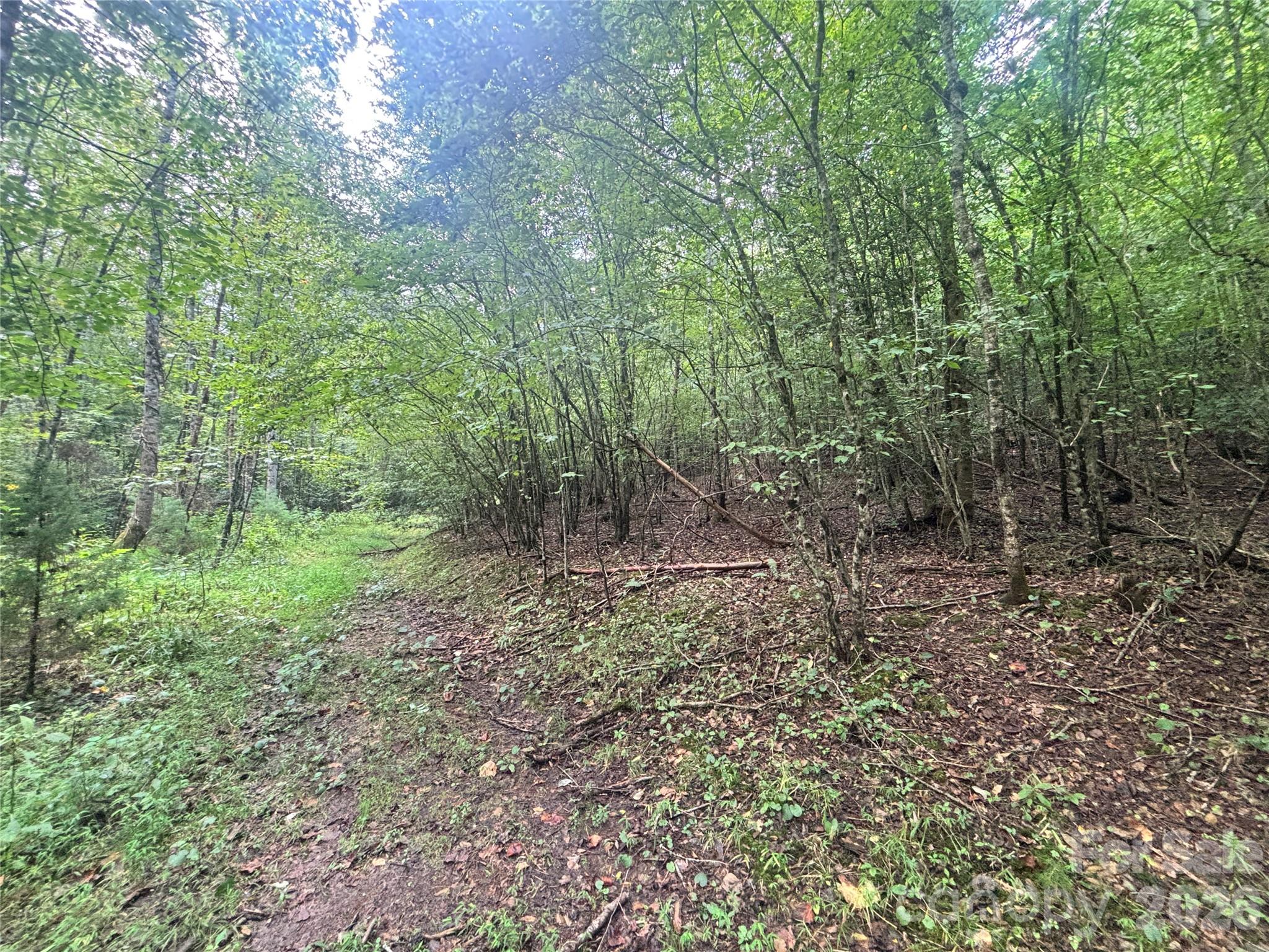 Vl Indian Grave Road Property Photo 25