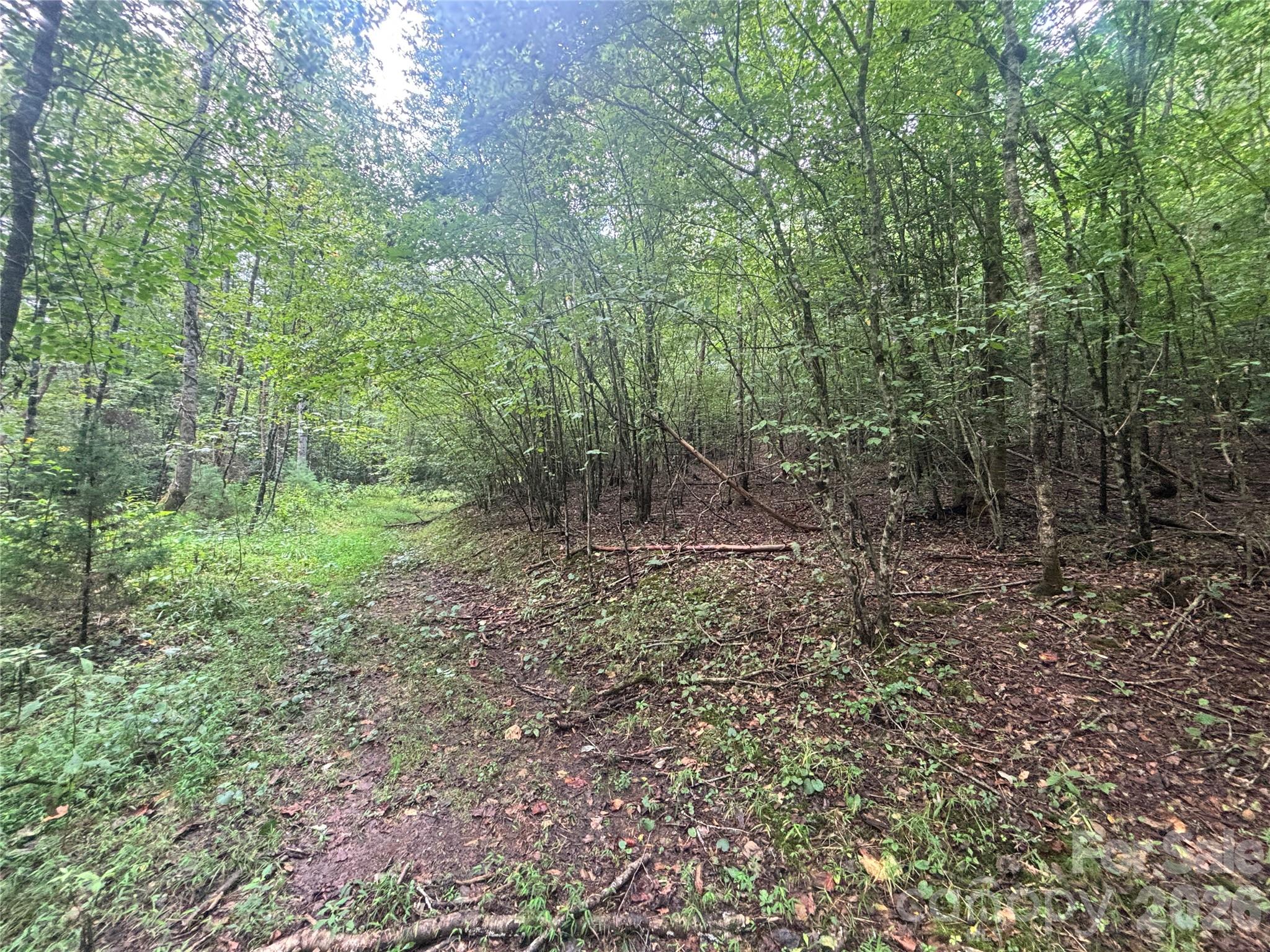 Vl Indian Grave Road Property Photo 26