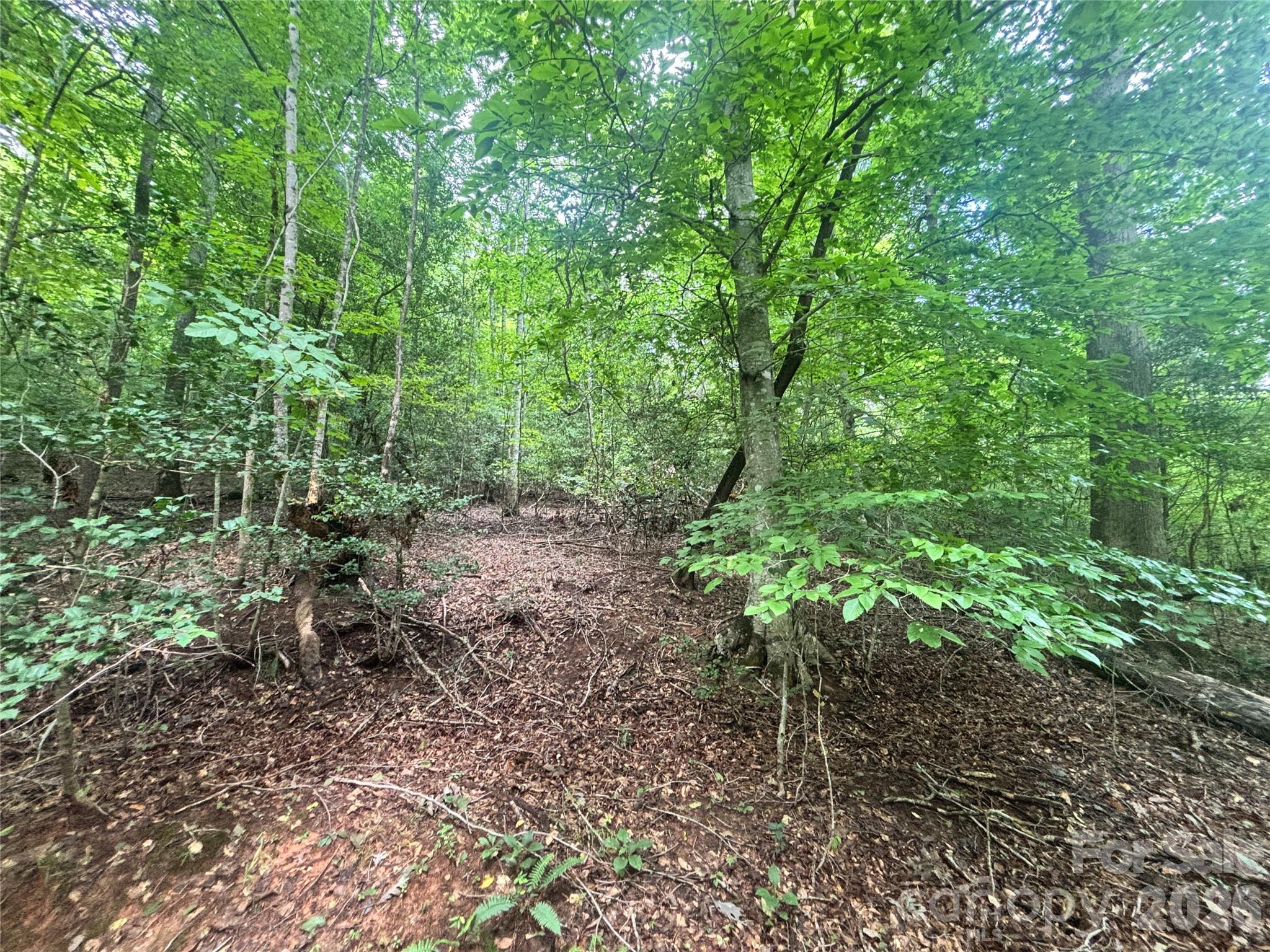 Vl Indian Grave Road Property Photo 27