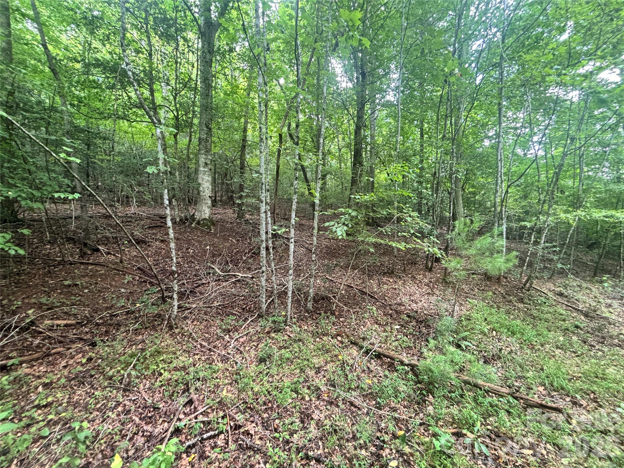 Vl Indian Grave Road Property Photo 28