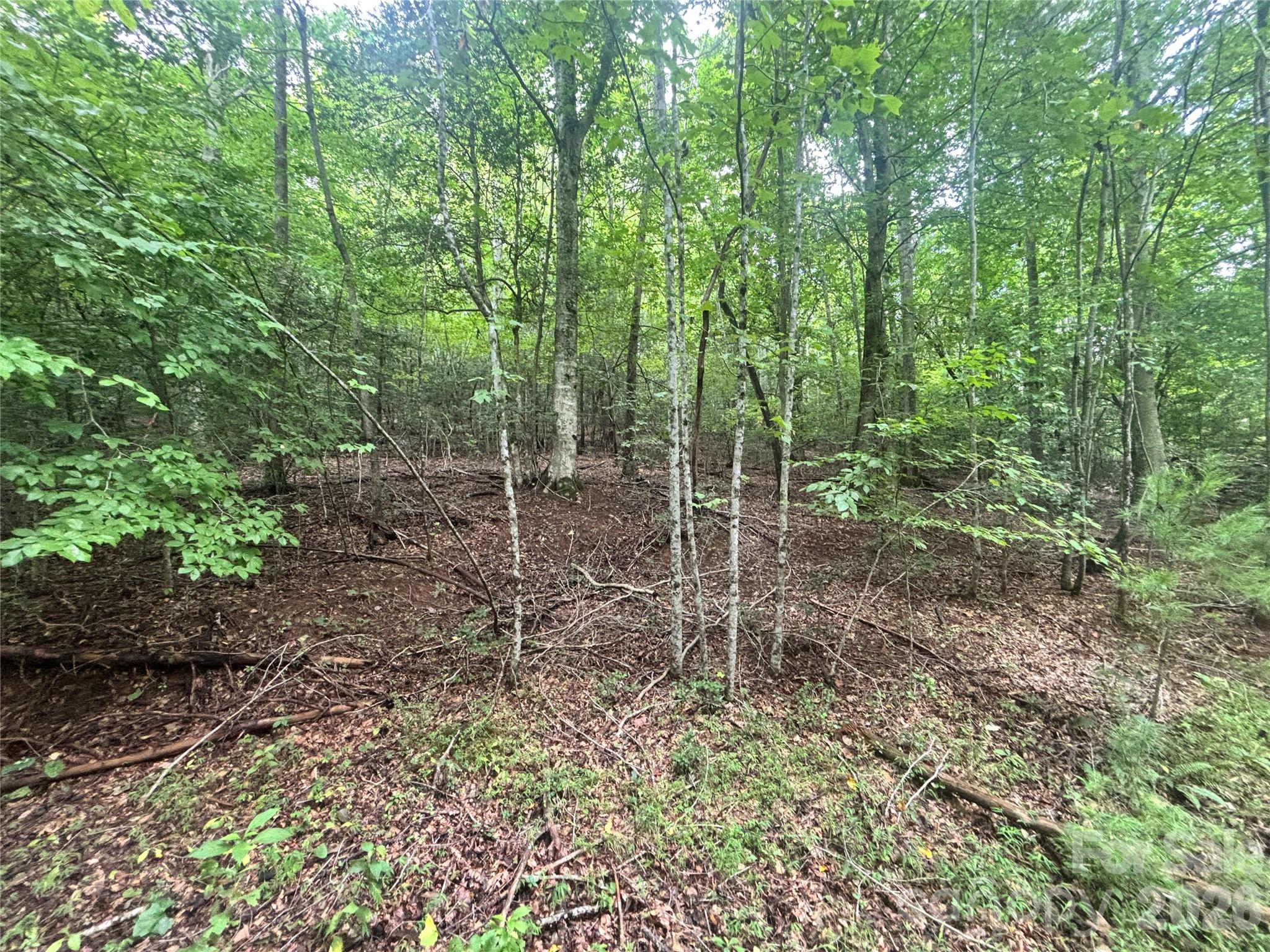 Vl Indian Grave Road Property Photo 29