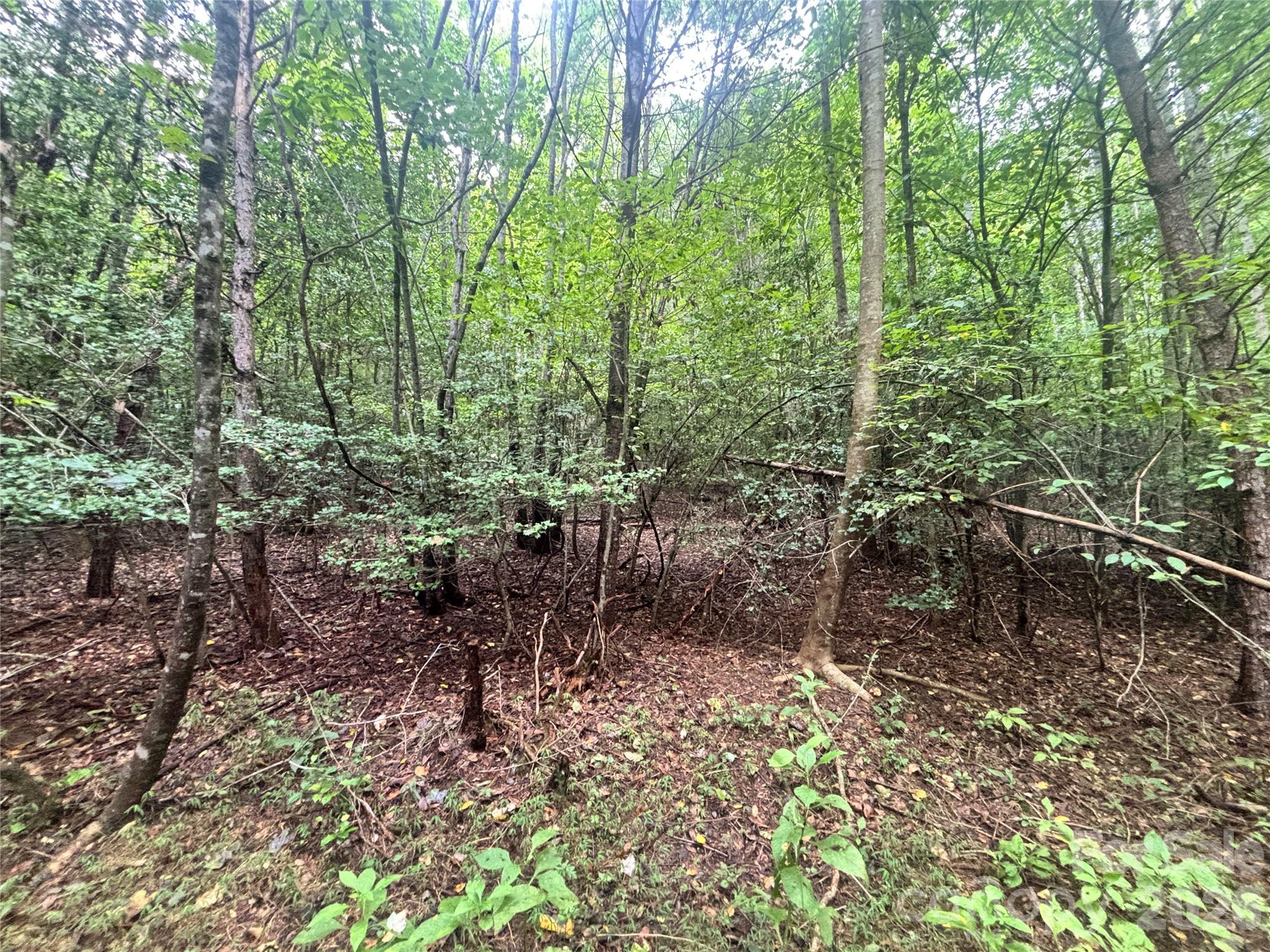 Vl Indian Grave Road Property Photo 30