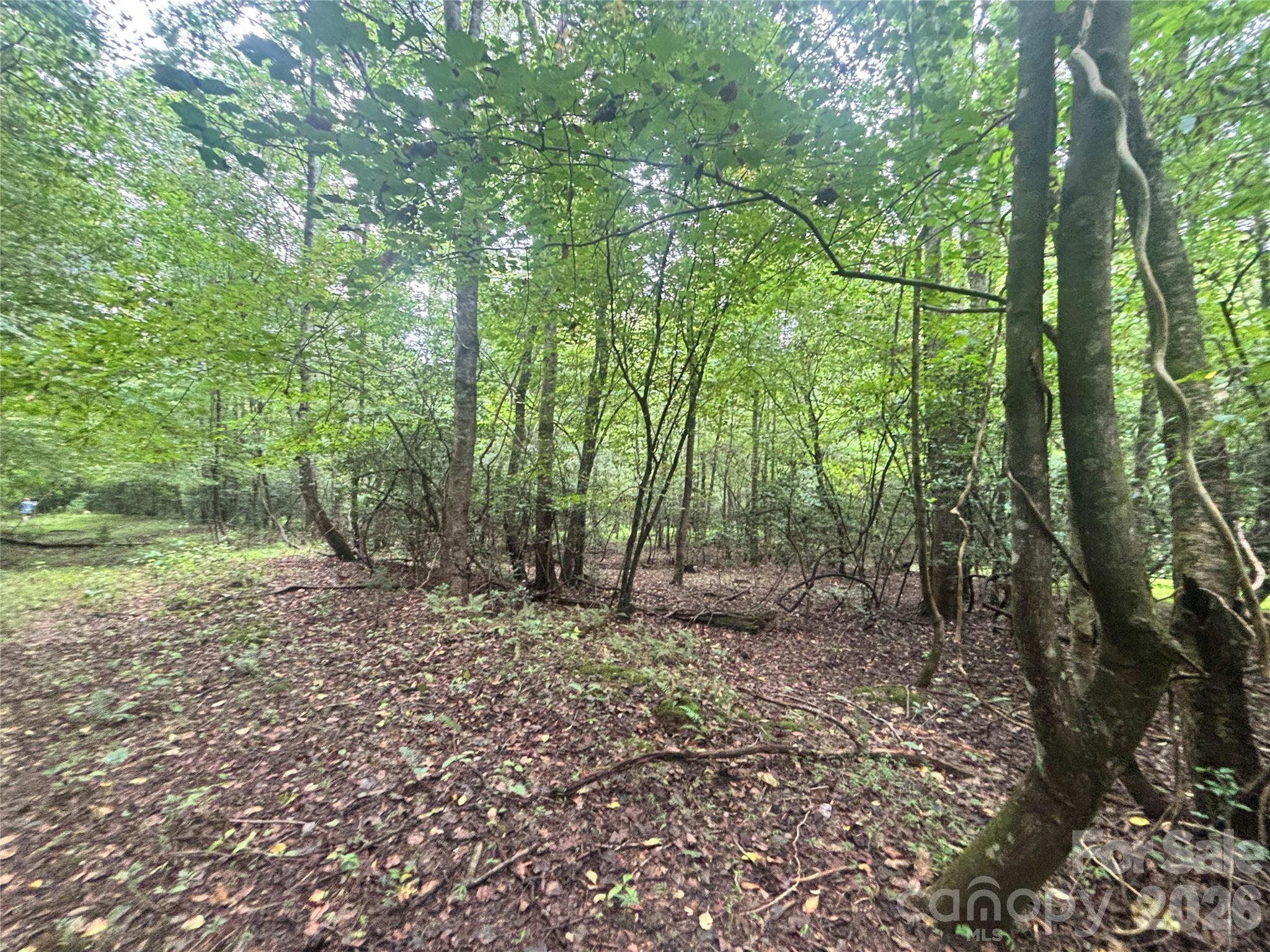 Vl Indian Grave Road Property Photo 31