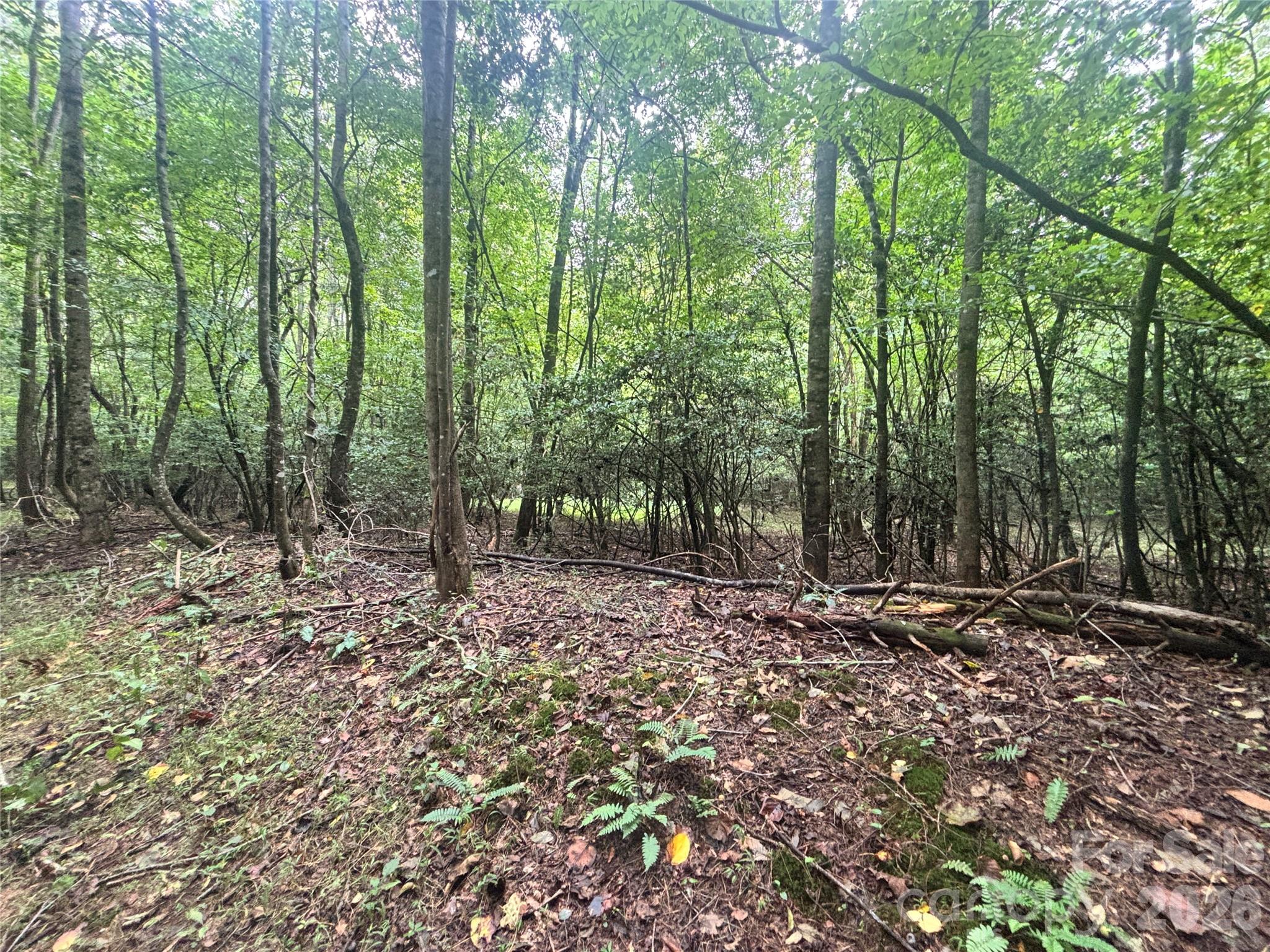 Vl Indian Grave Road Property Photo 32