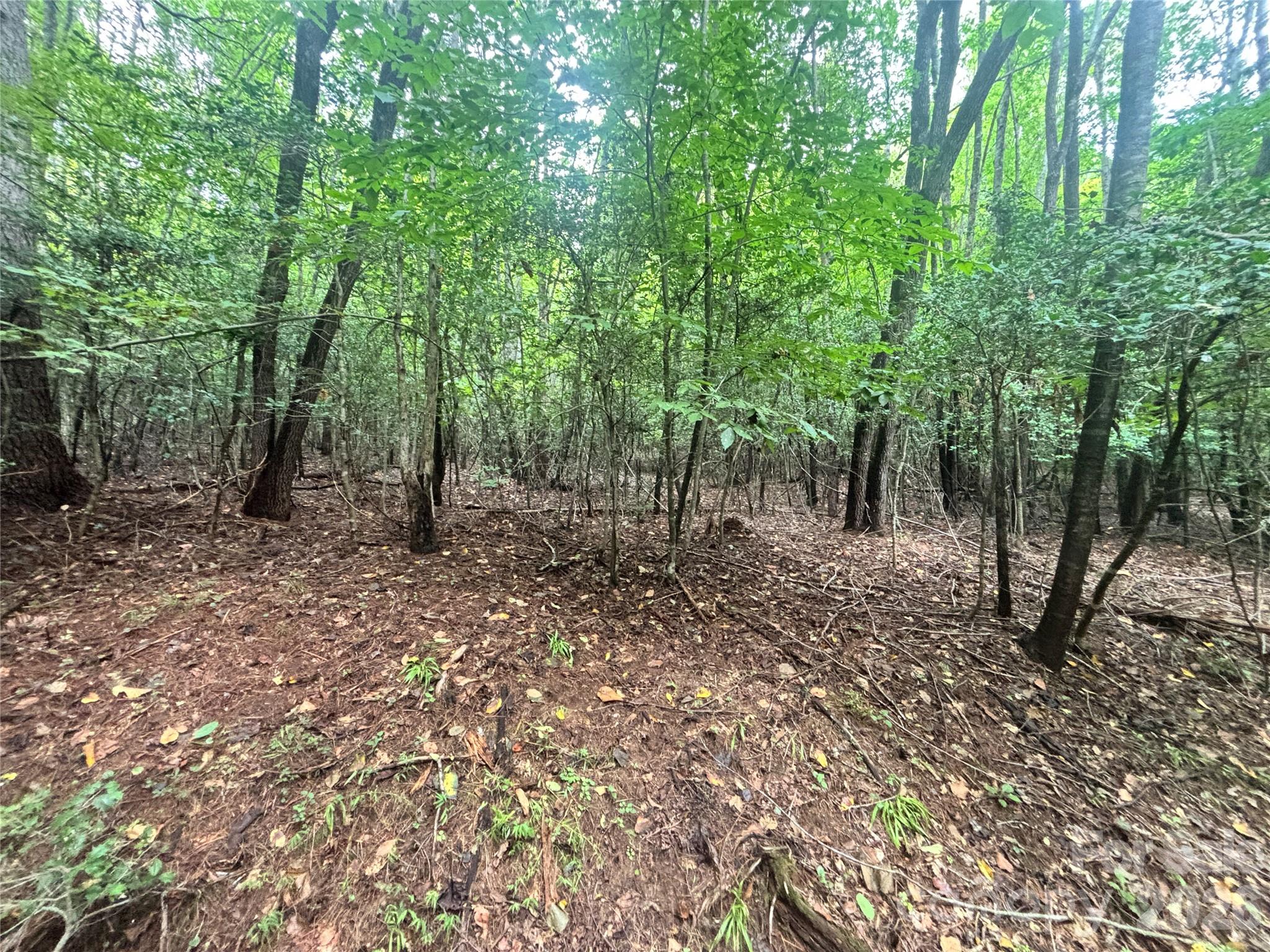 Vl Indian Grave Road Property Photo 33