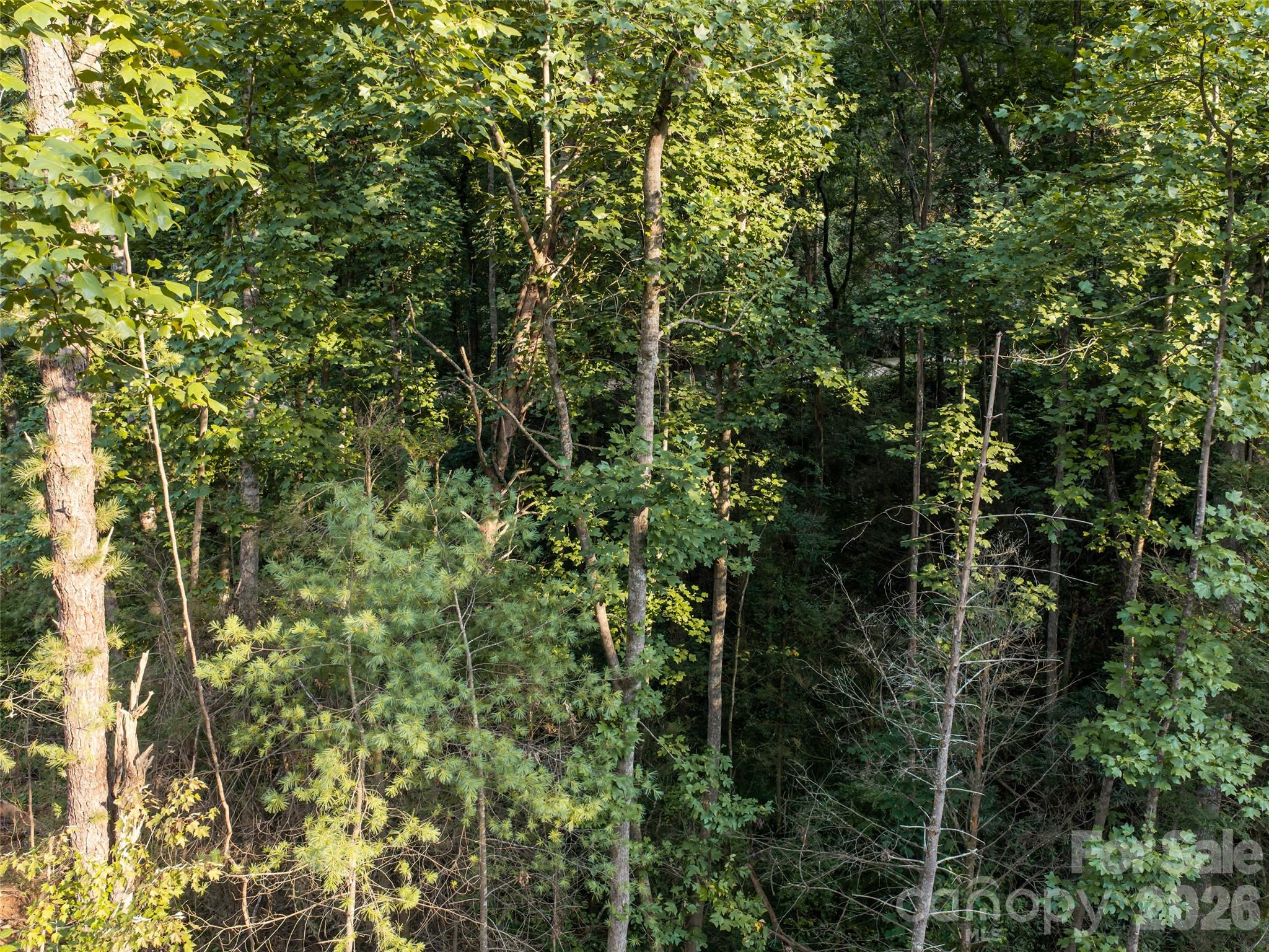 45 Jake Ridge Trail Property Photo 4