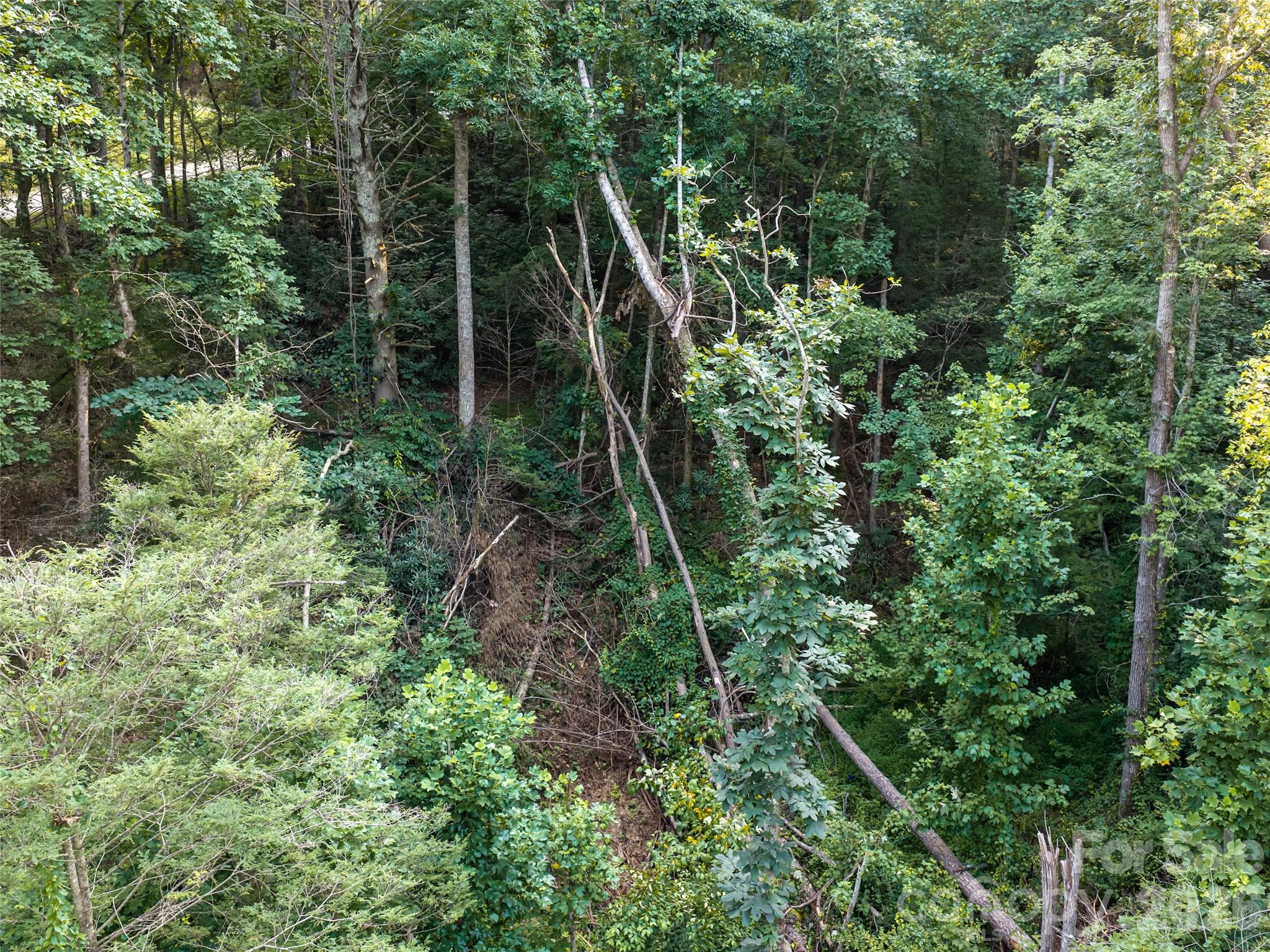 45 Jake Ridge Trail Property Photo 5