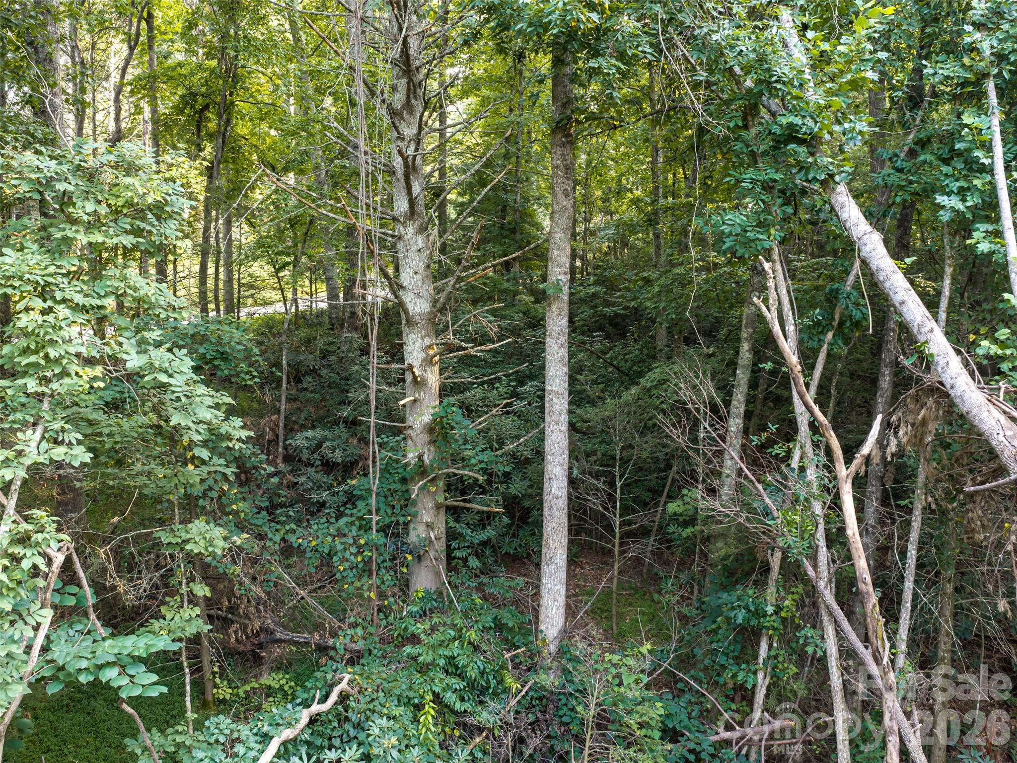 45 Jake Ridge Trail Property Photo 6
