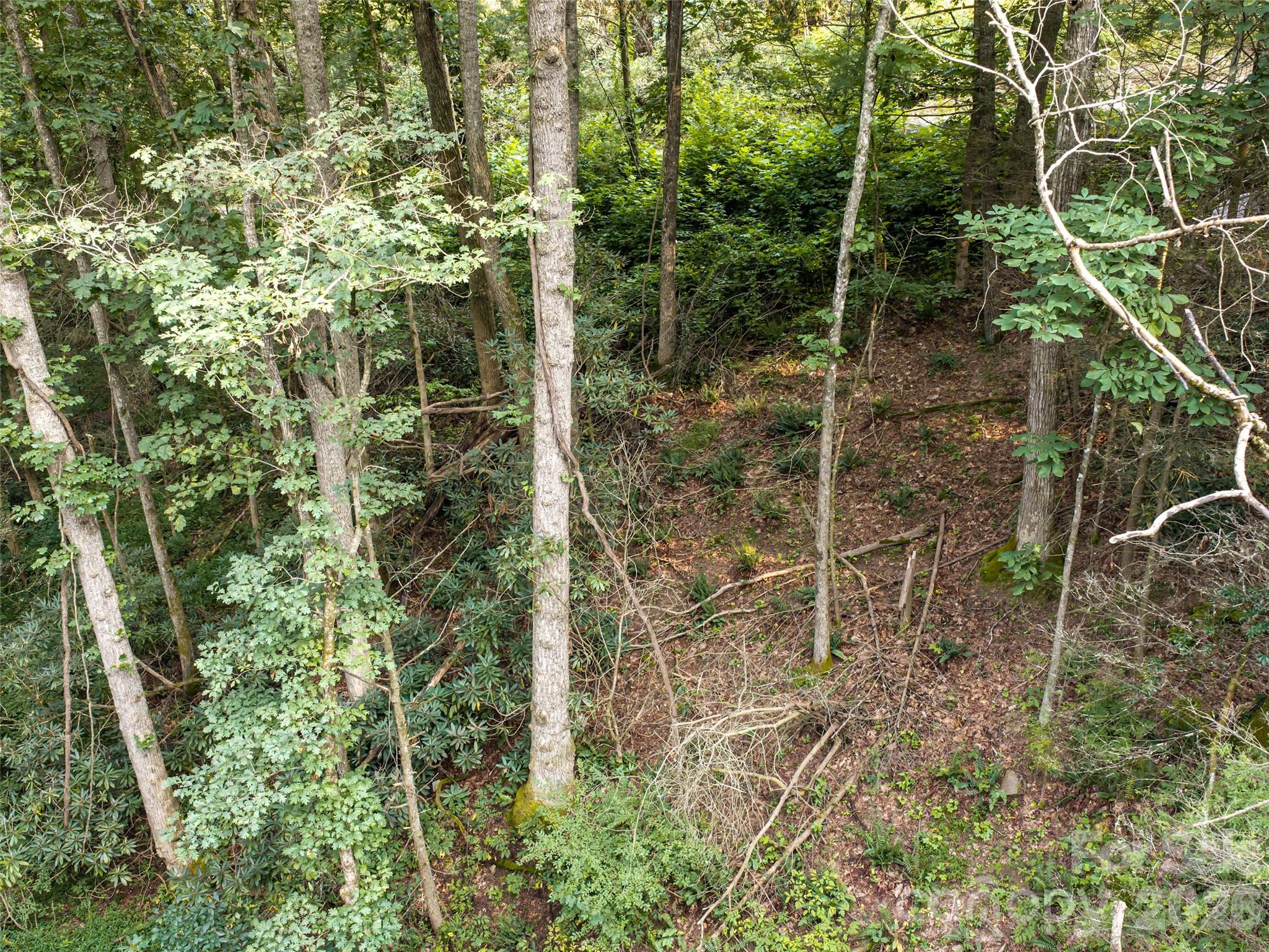 45 Jake Ridge Trail Property Photo 7