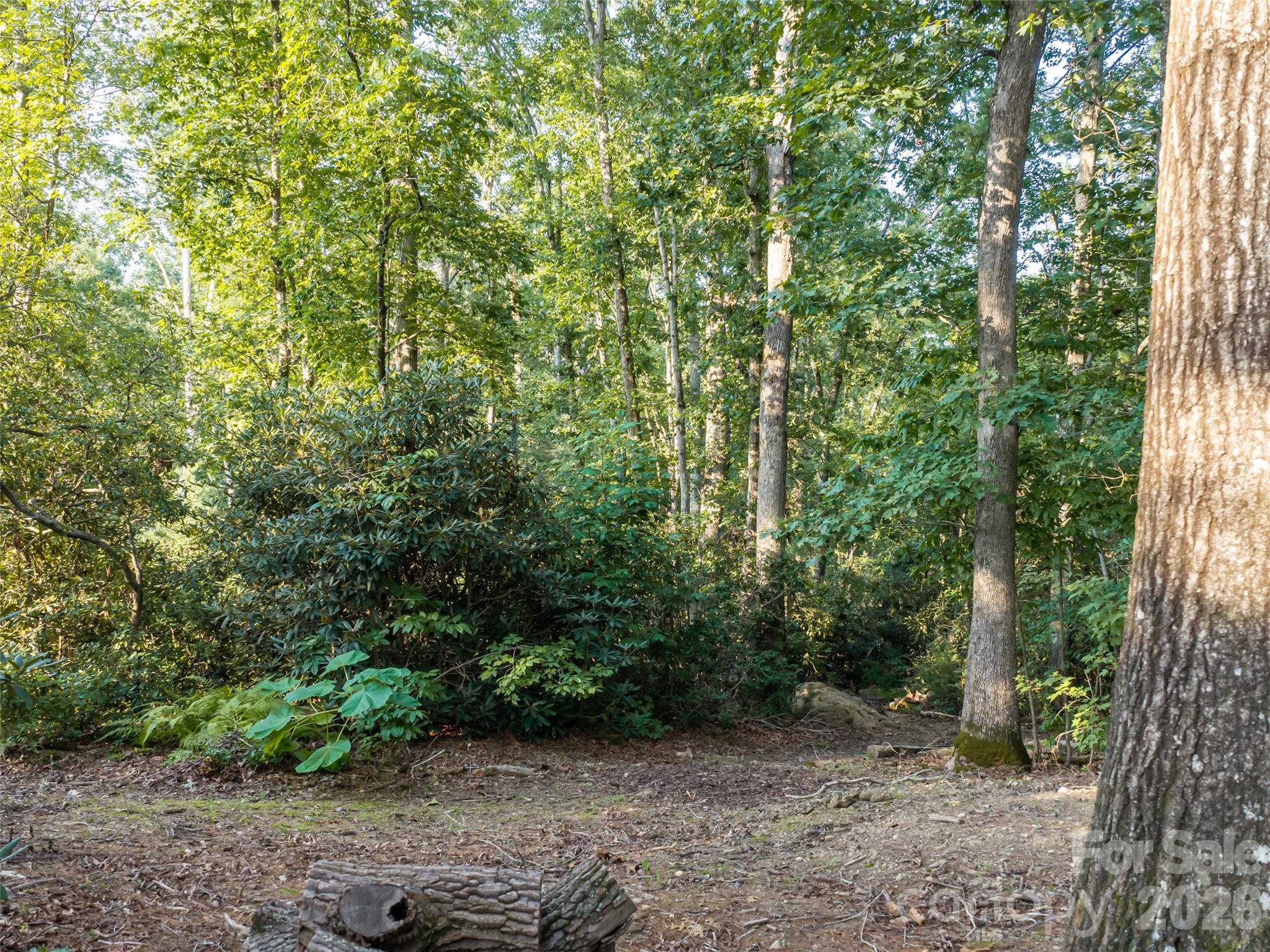 45 Jake Ridge Trail Property Photo 8