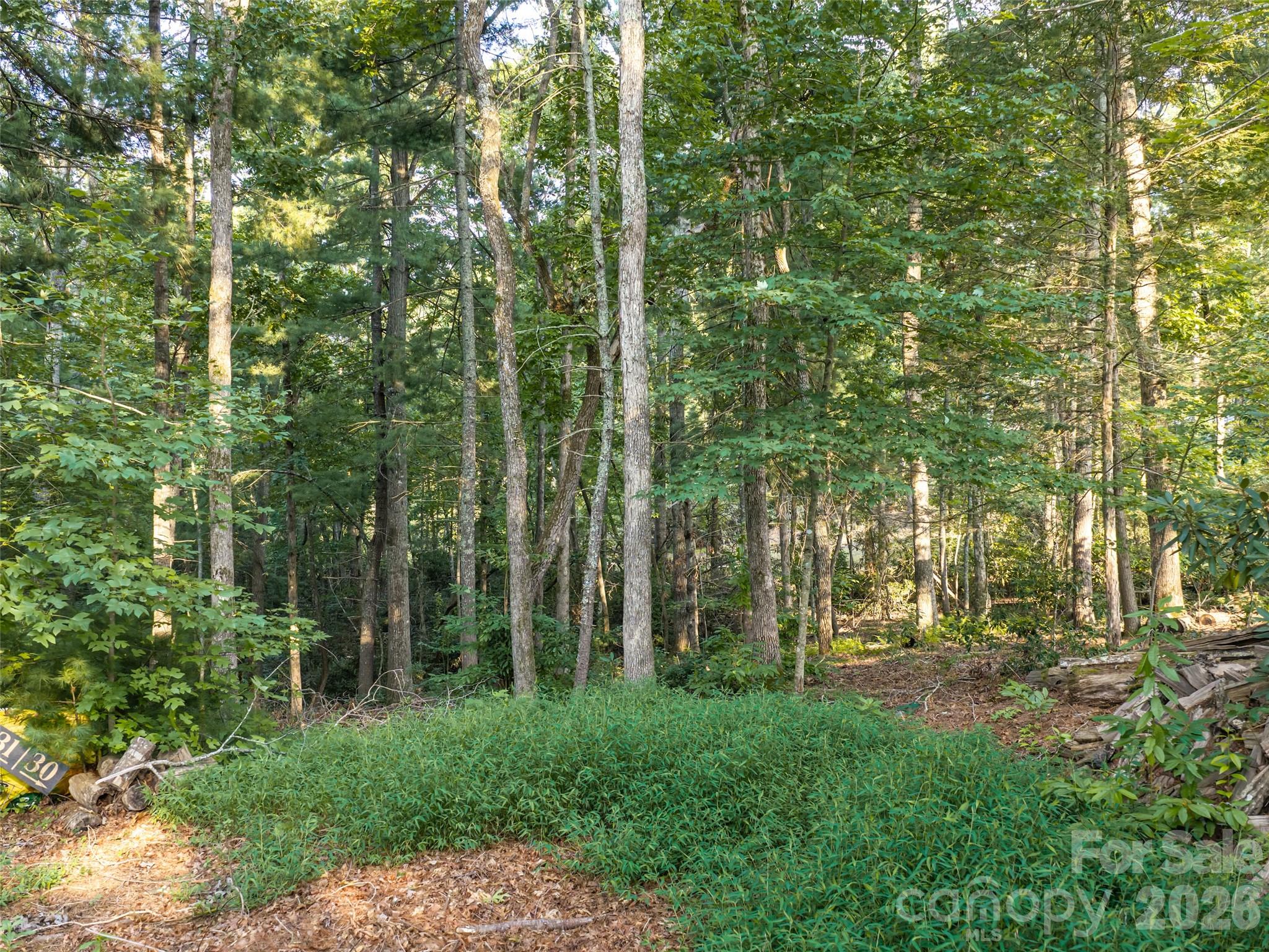 45 Jake Ridge Trail Property Photo 9