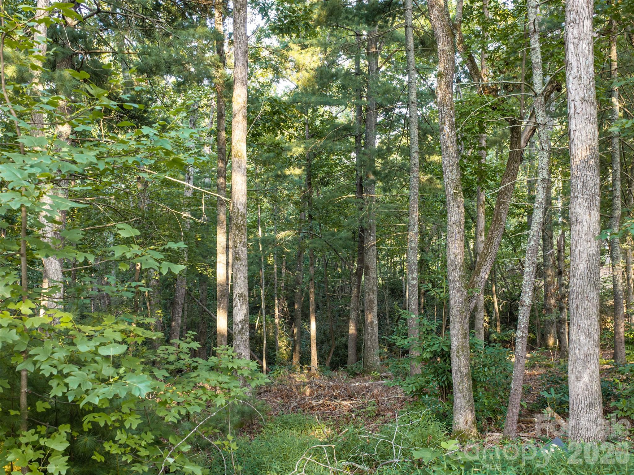 45 Jake Ridge Trail Property Photo 10
