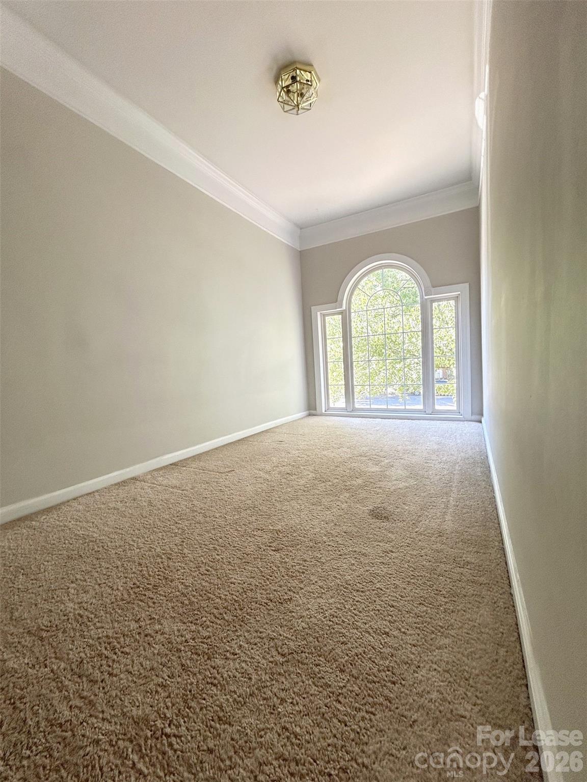 733 Meadow Lake Drive Property Photo 27