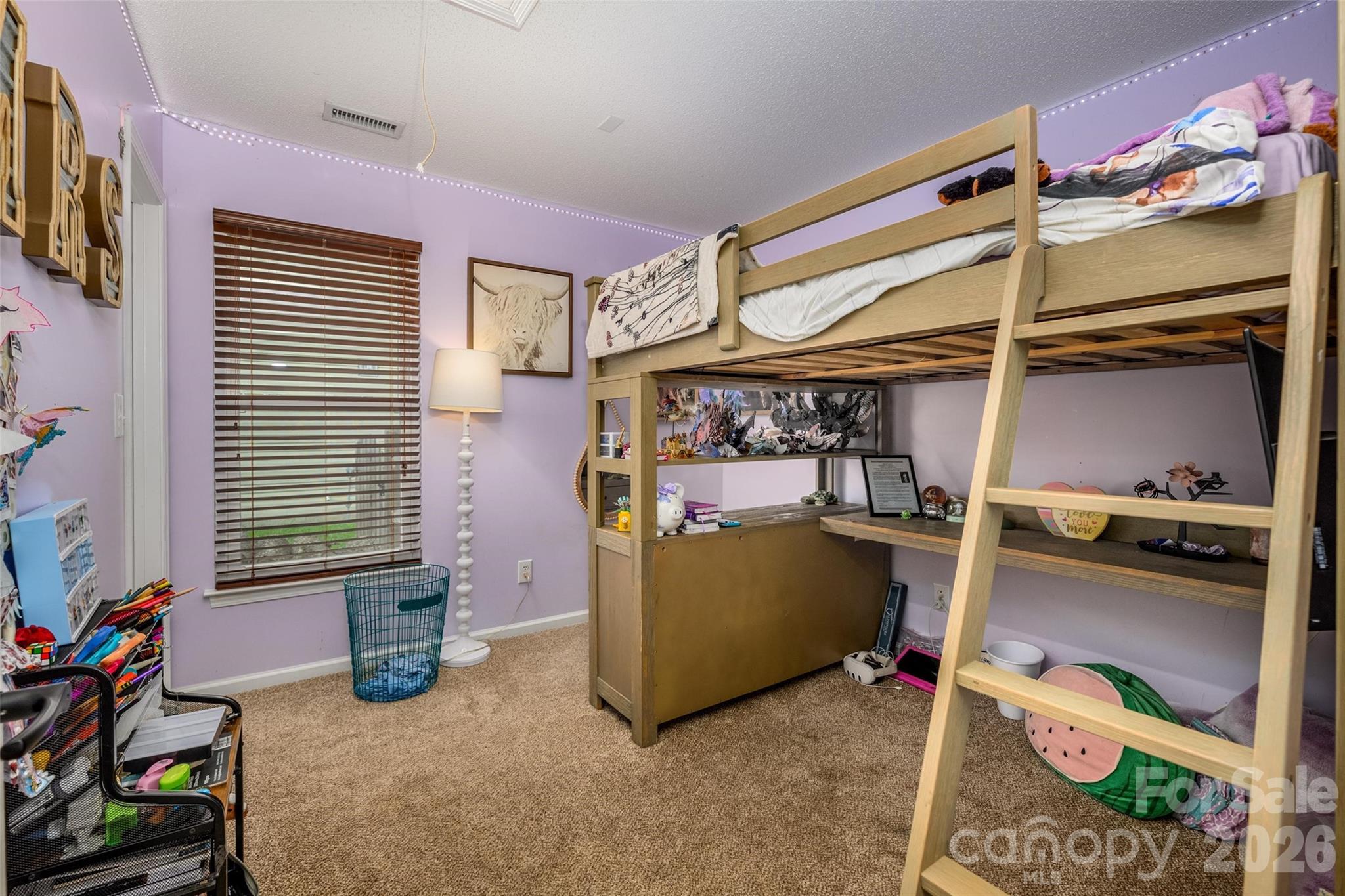 123 Austin Run Court Property Photo 14