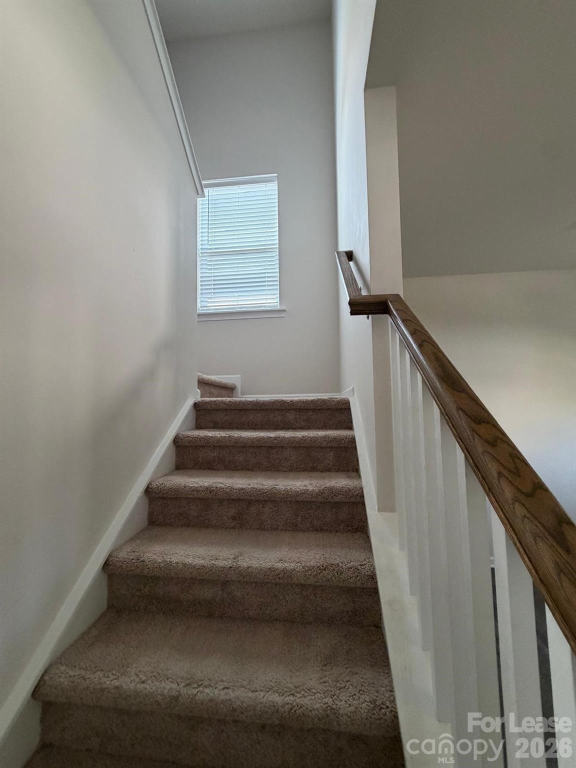 9002 Foxcroft Drive Property Photo 21