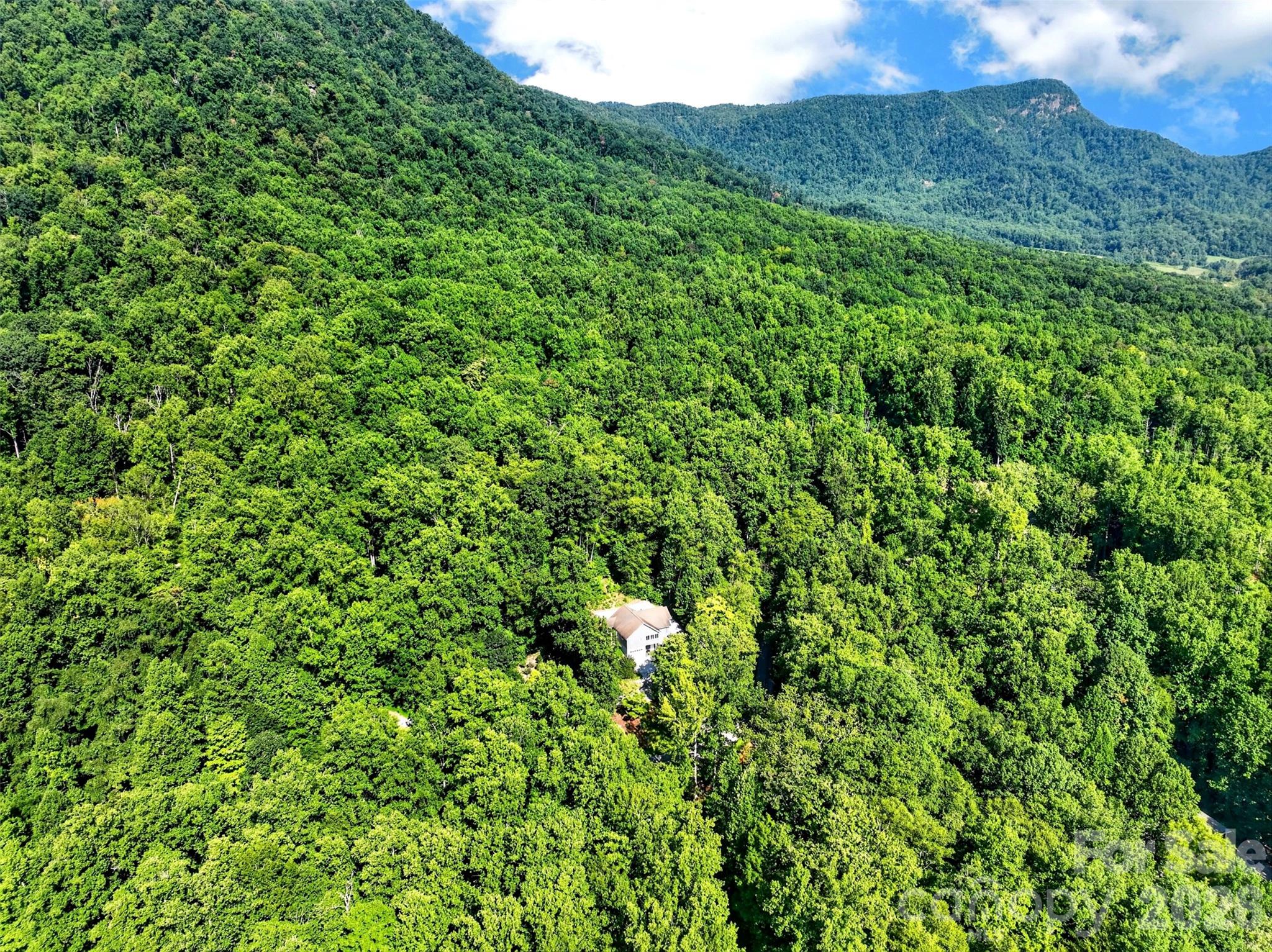 767 Hunnicut Mountain Road Property Photo 2