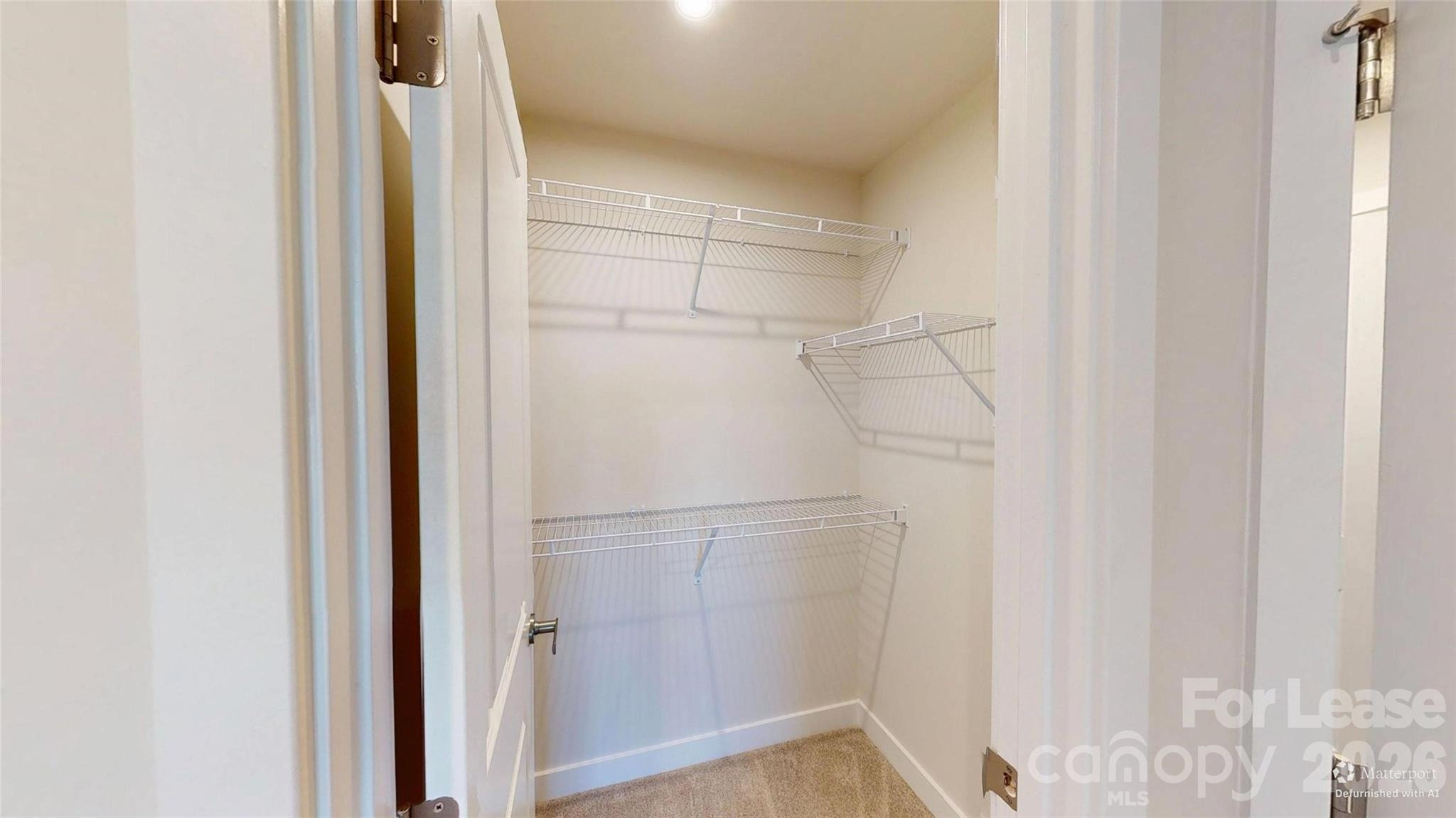 9542 Teamwork Street Property Photo 18