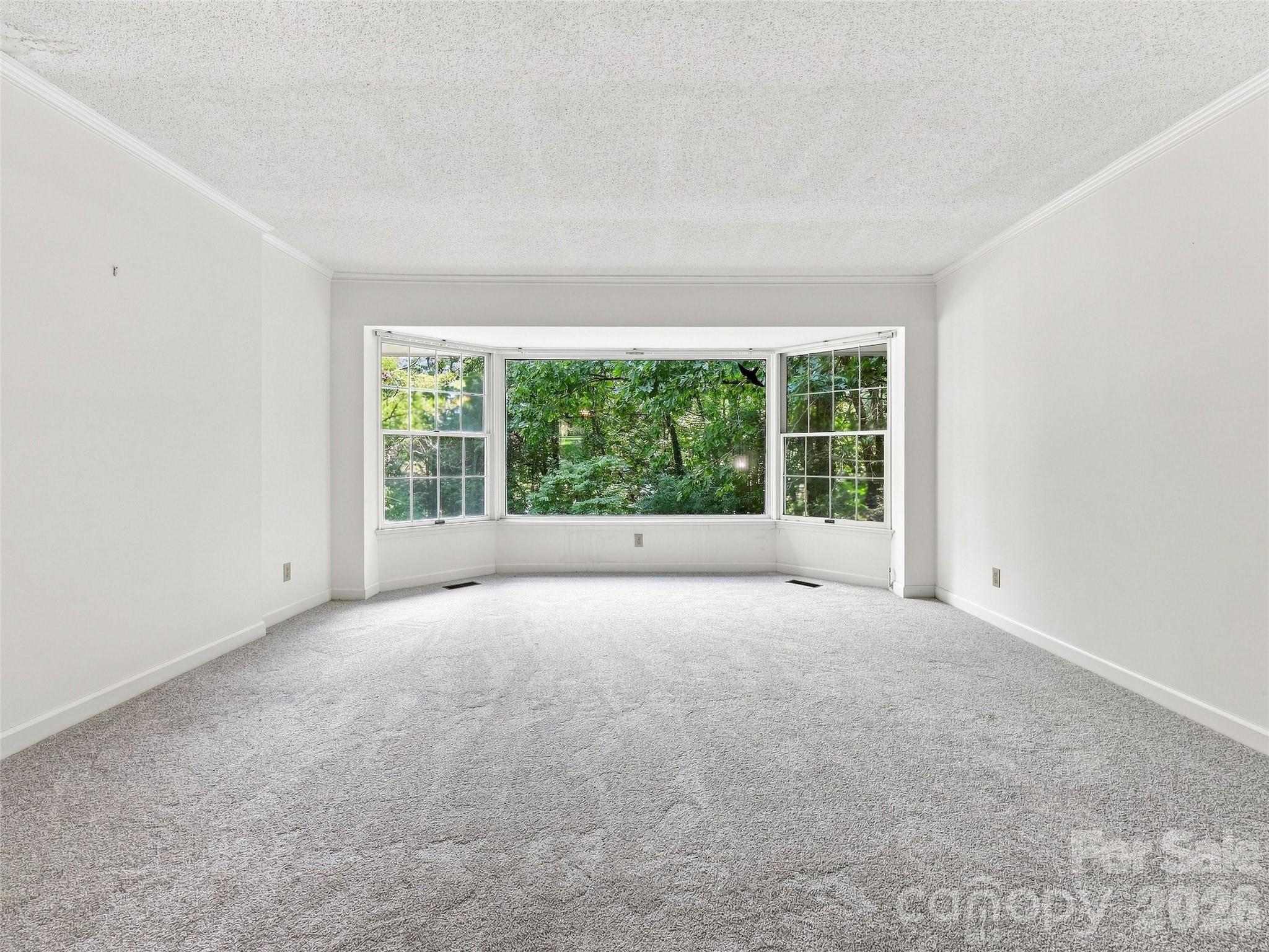 12 Legendary Road Property Photo 17