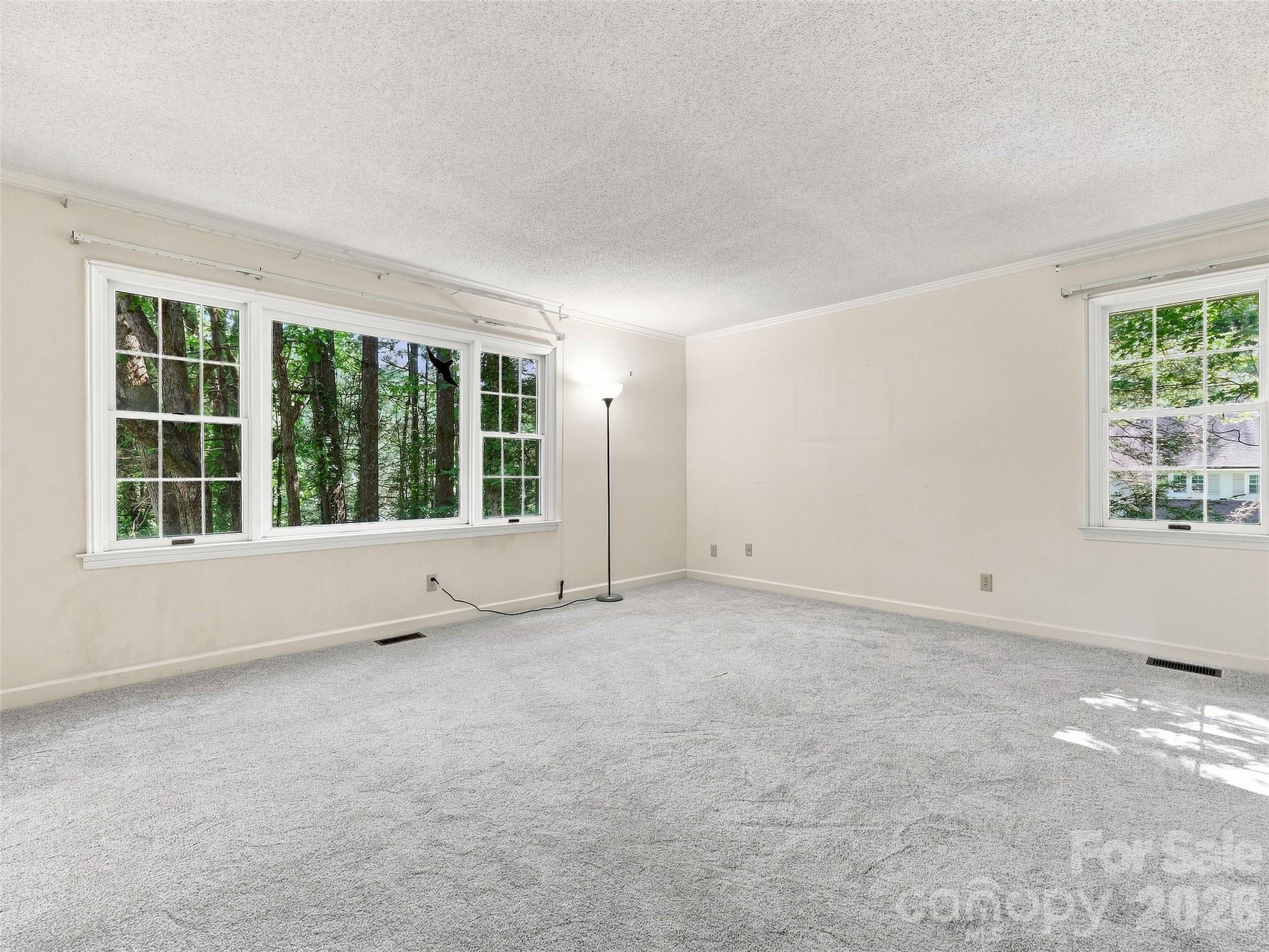 12 Legendary Road Property Photo 39
