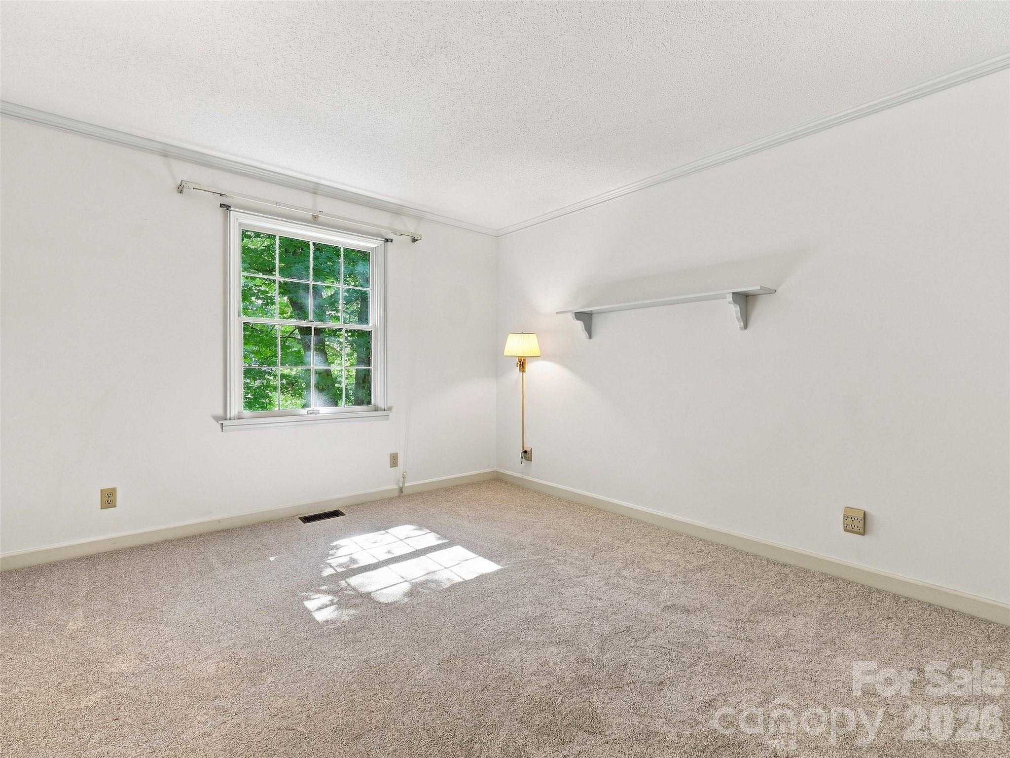 12 Legendary Road Property Photo 43