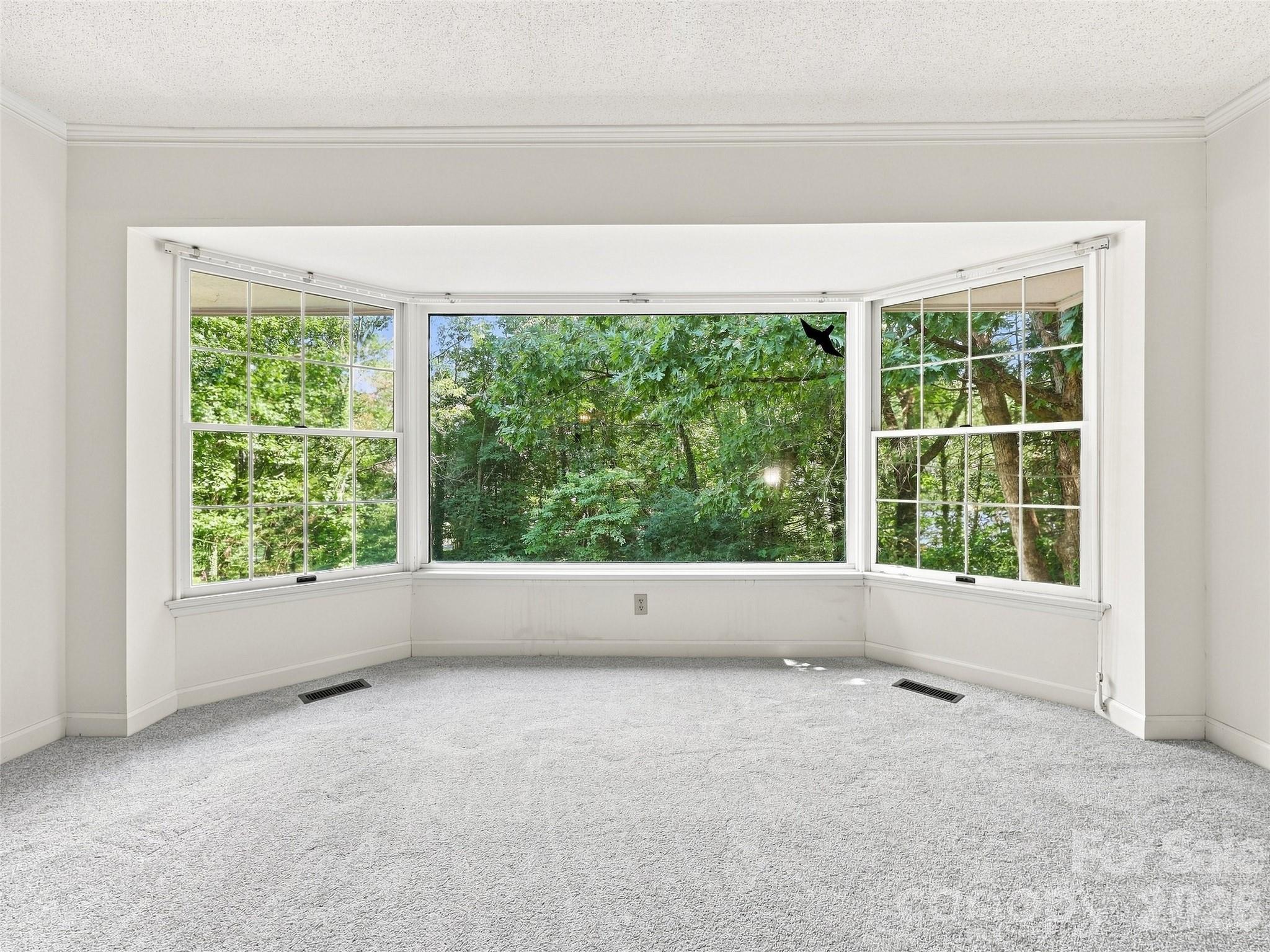 12 Legendary Road Property Photo 45