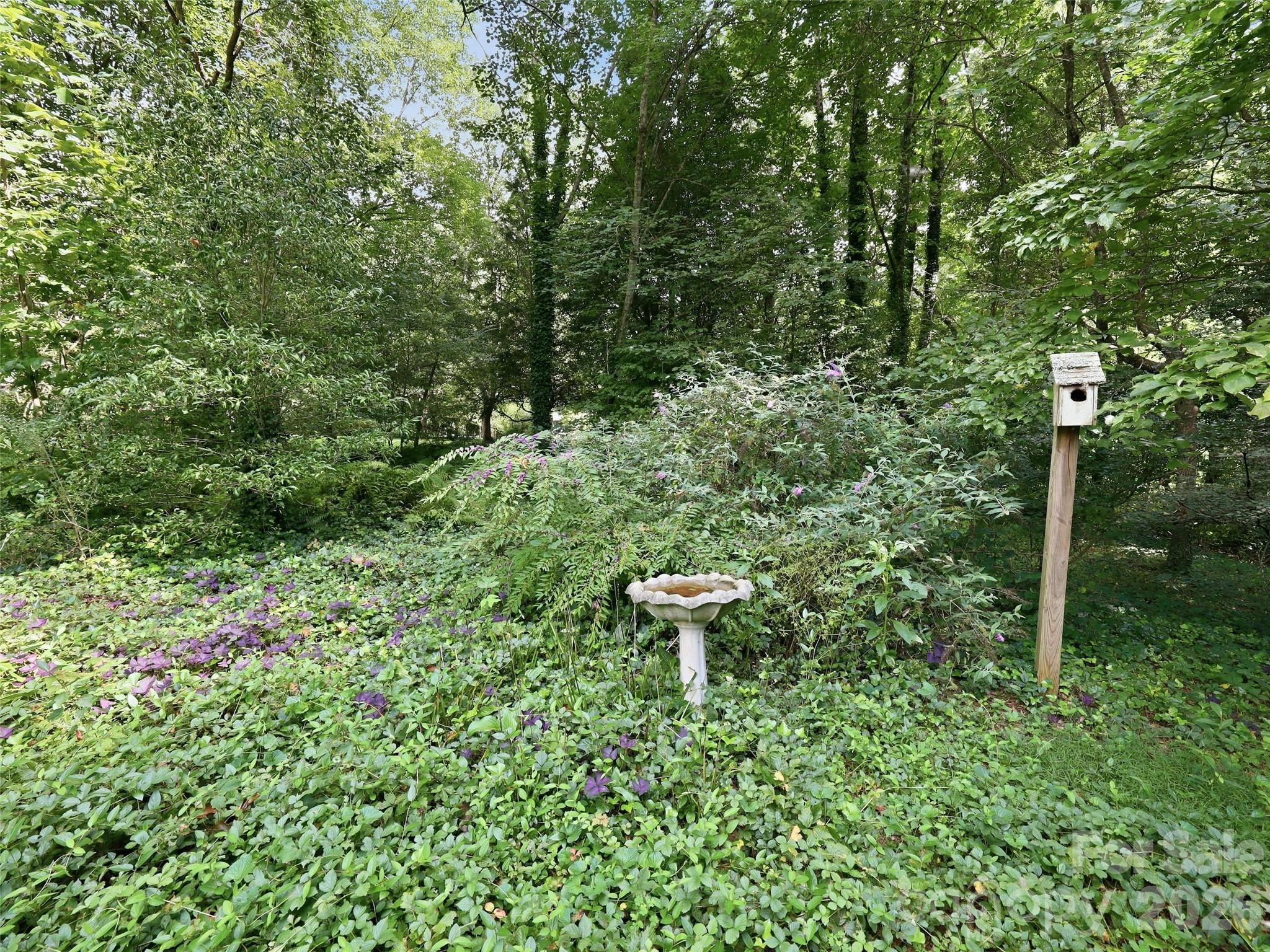 12 Legendary Road Property Photo 47