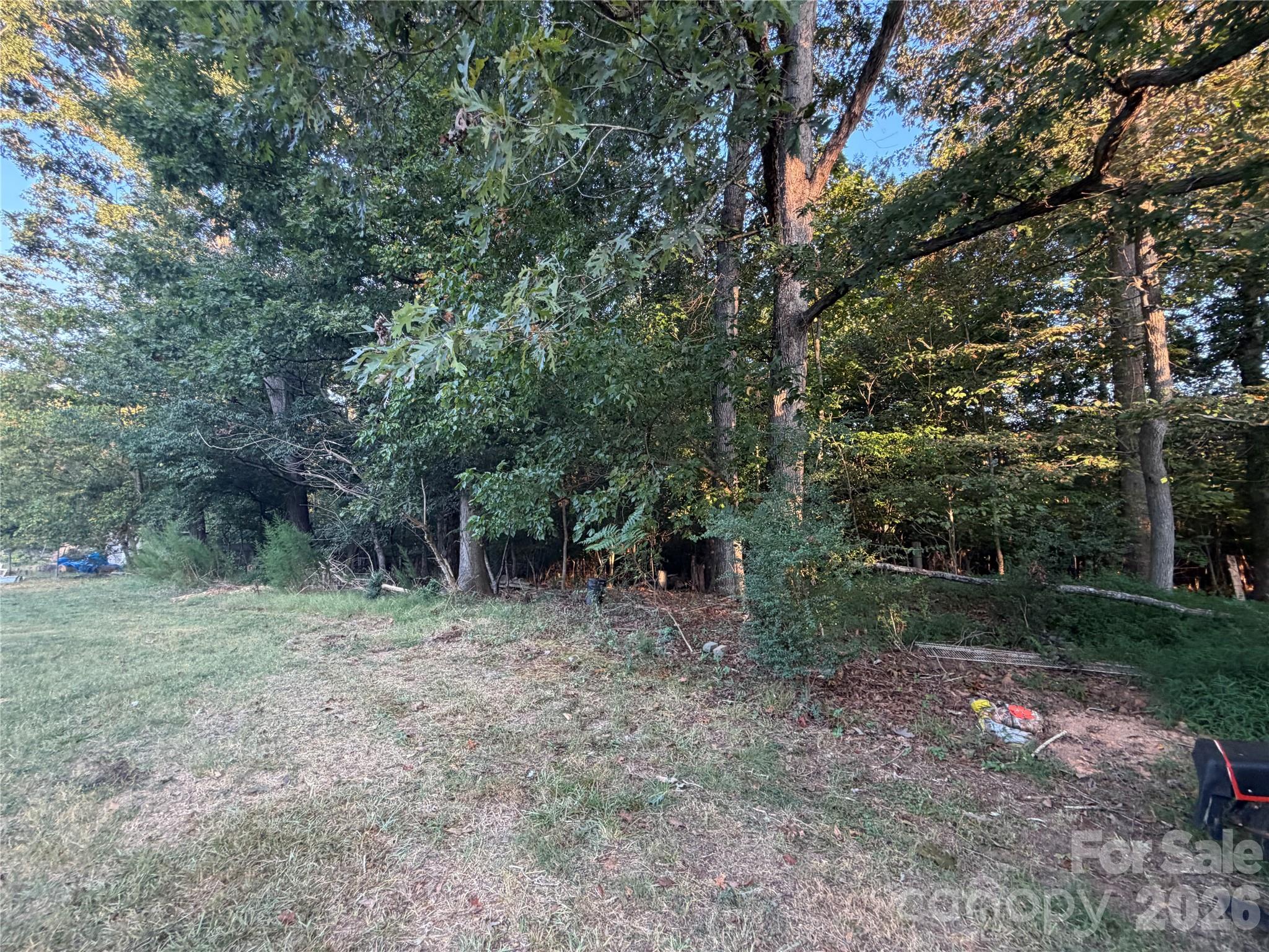 114 Carroll Drive Property Photo 6