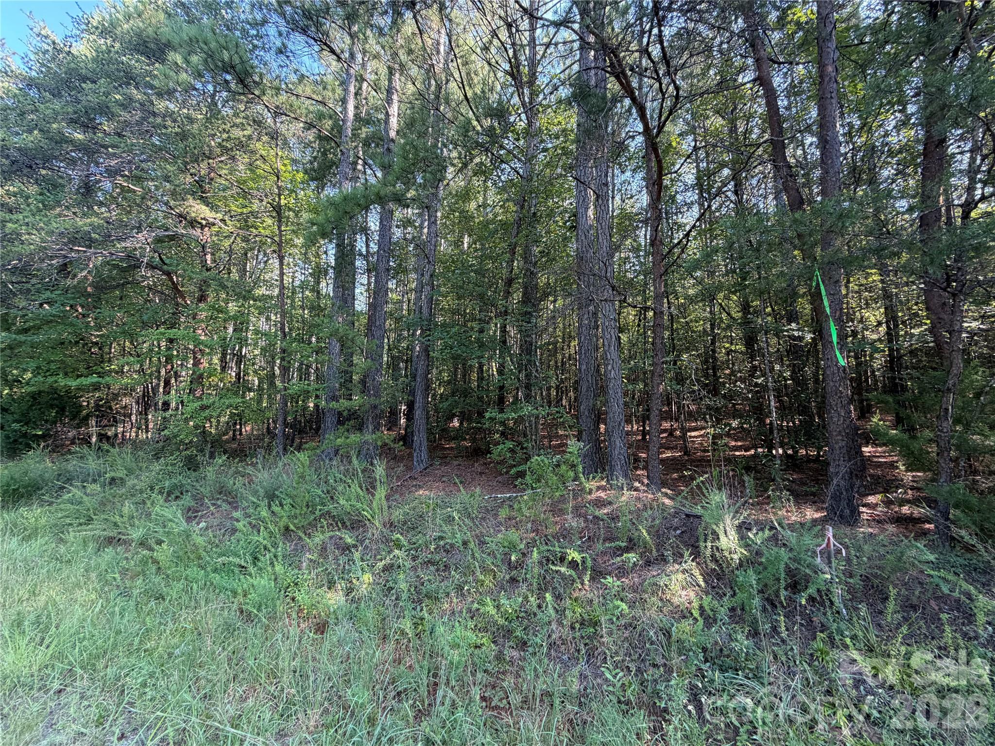 175 Old Morganton Road Property Photo 4