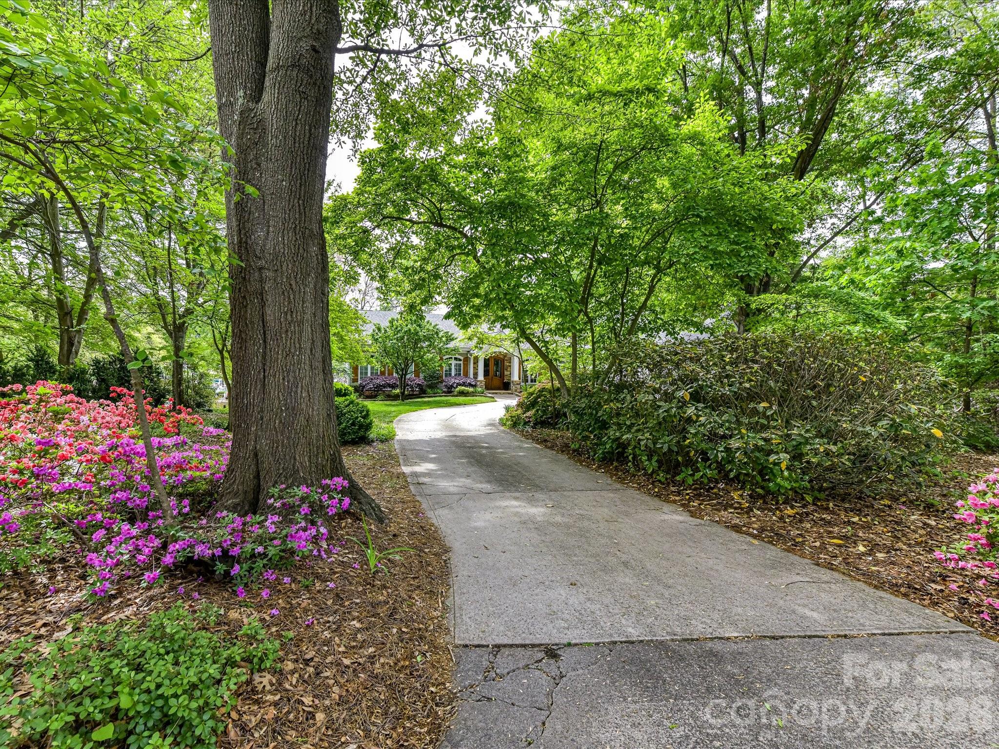 16211 Terry Lane Property Photo 5