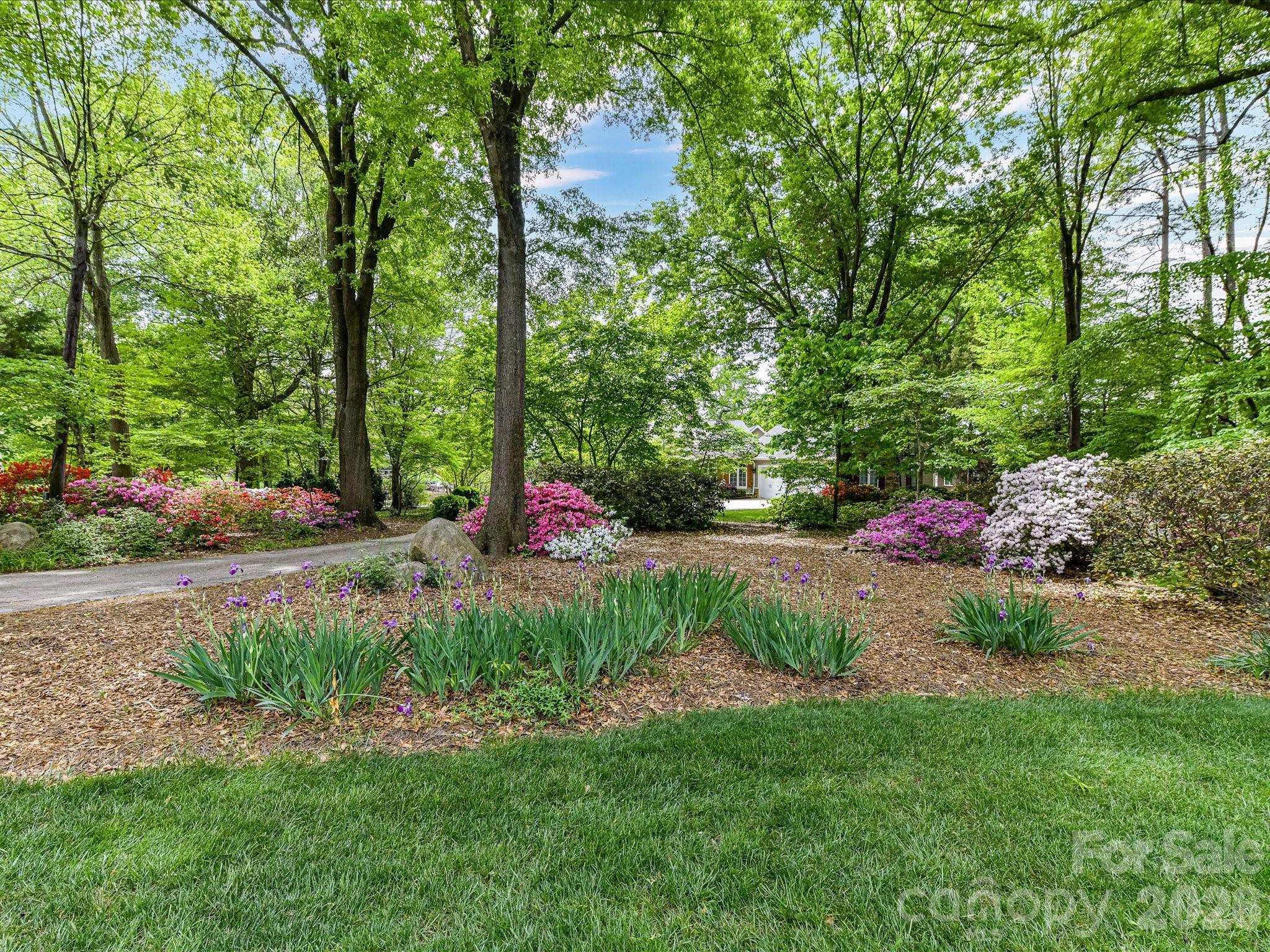 16211 Terry Lane Property Photo 6