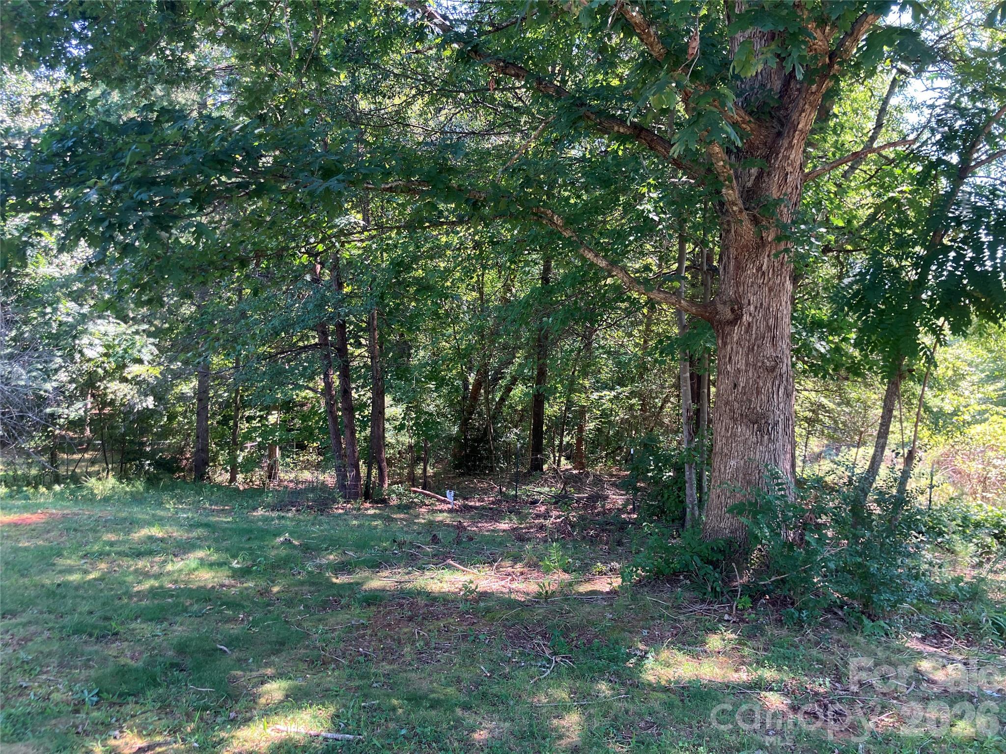 271 Weaver Way Property Photo 19
