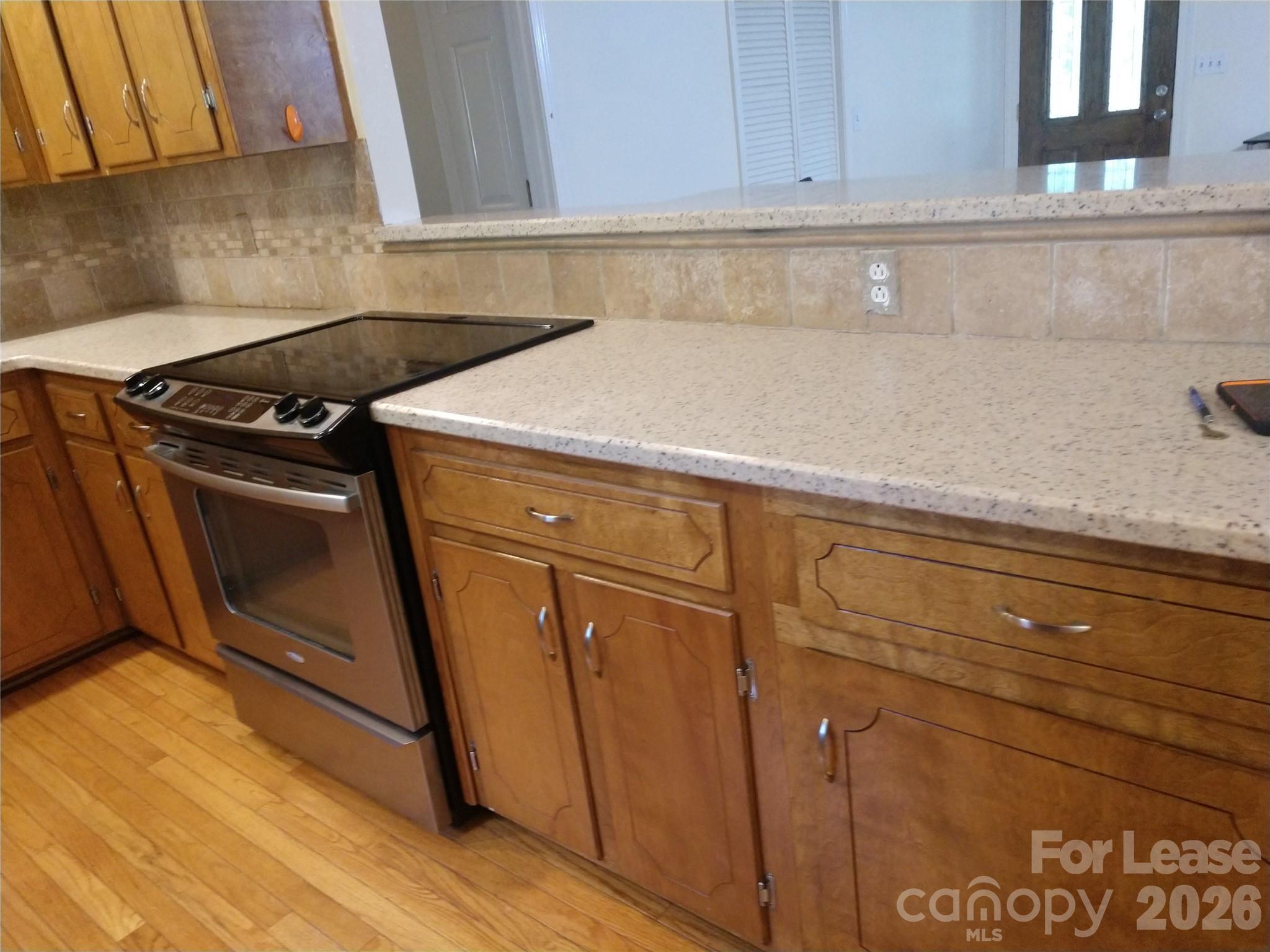 10115 Elmsbrook Lane Property Photo 9