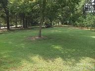 10115 Elmsbrook Lane Property Photo 19