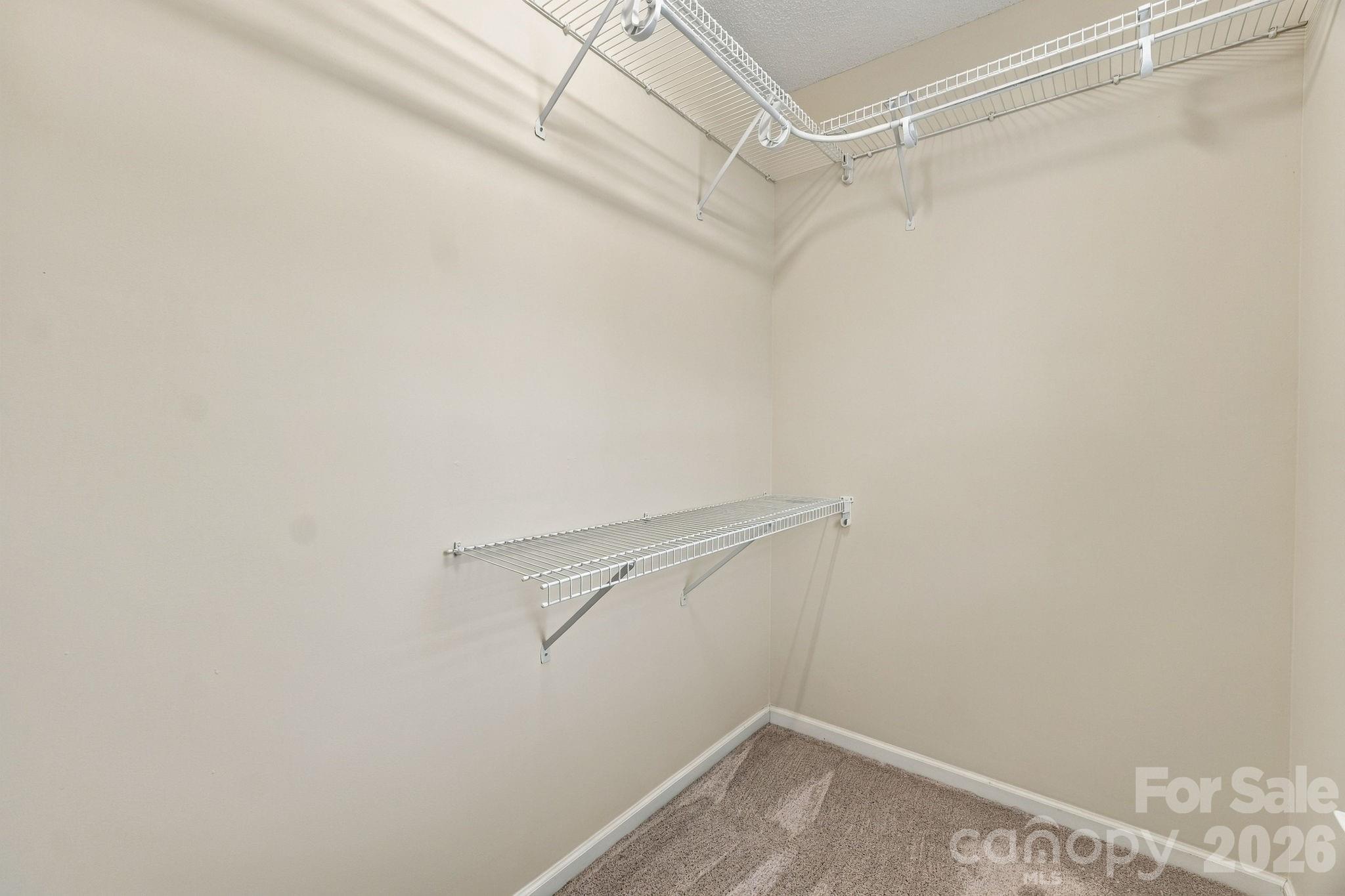 12806 English Walnut Lane Property Photo 19