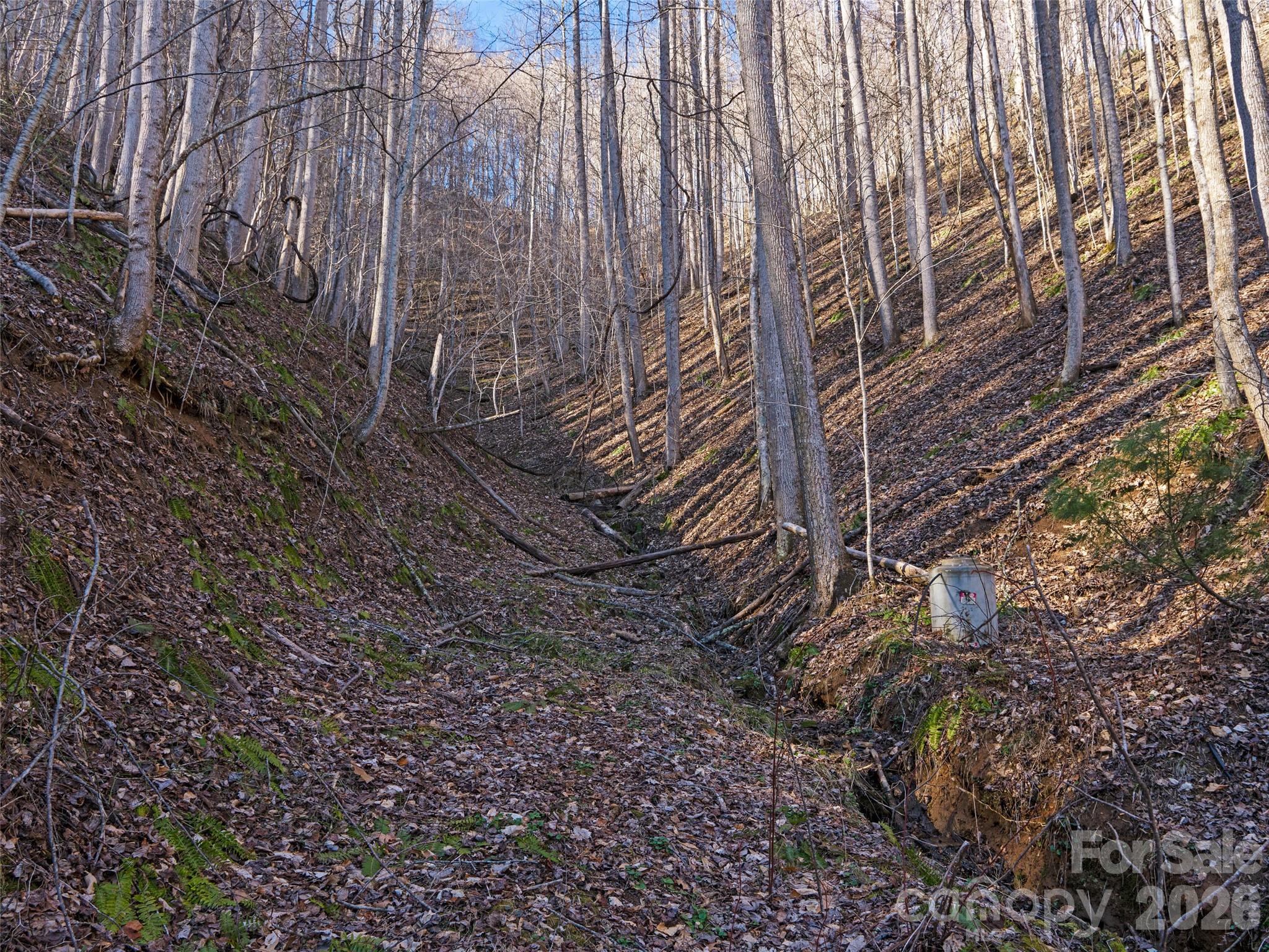 00 Lotties Creek Road Property Photo 3
