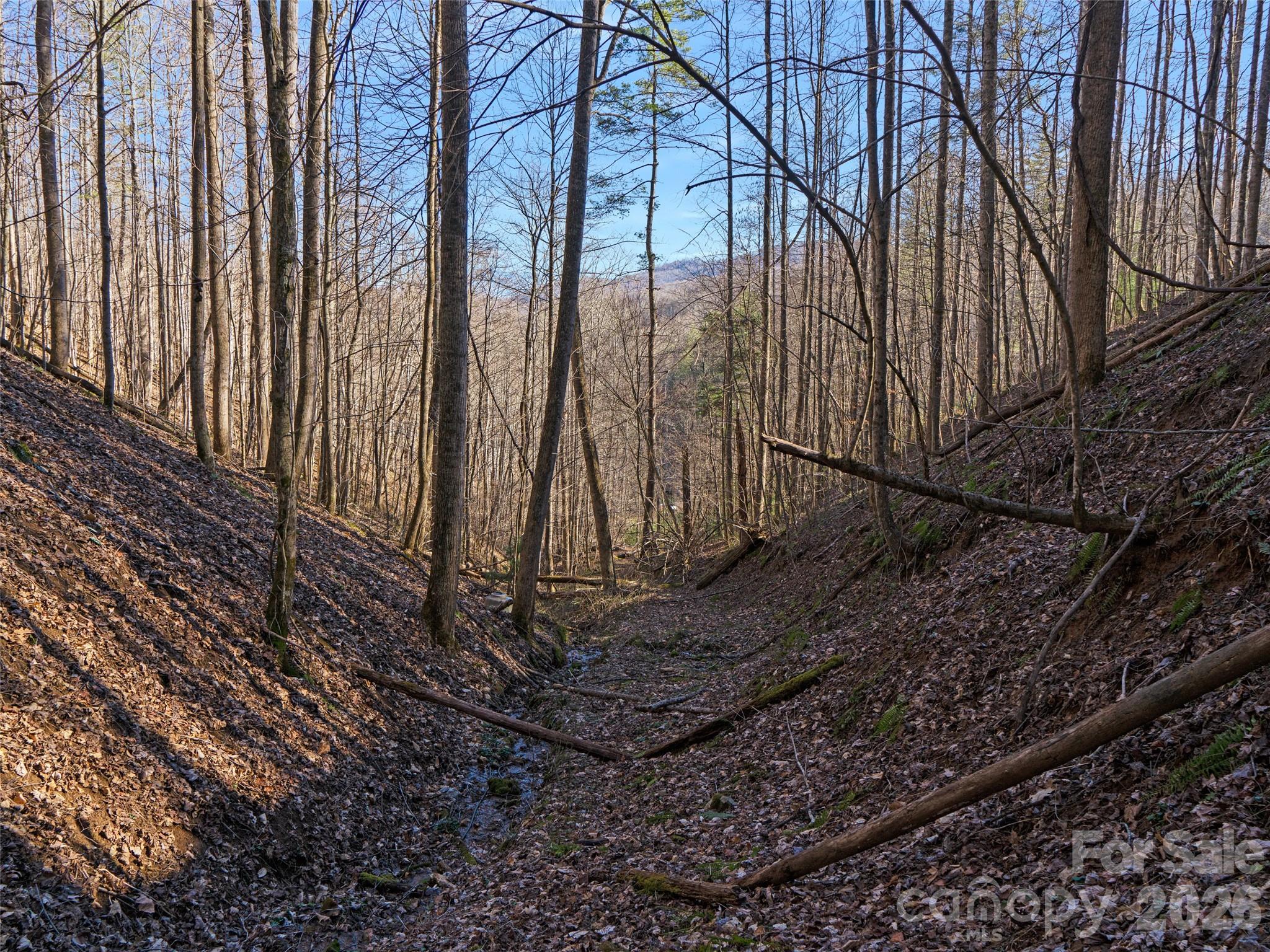 00 Lotties Creek Road Property Photo 4