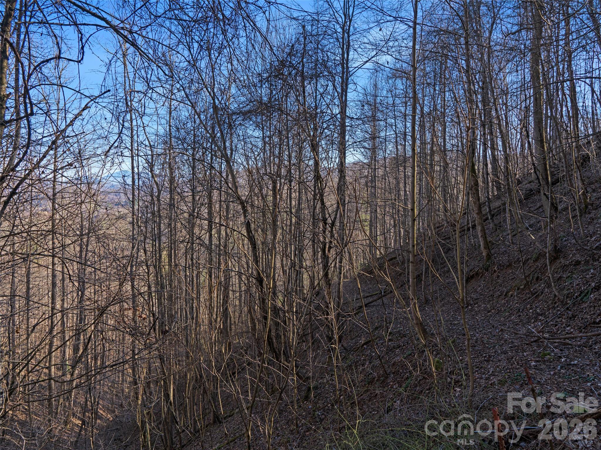 00 Lotties Creek Road Property Photo 6
