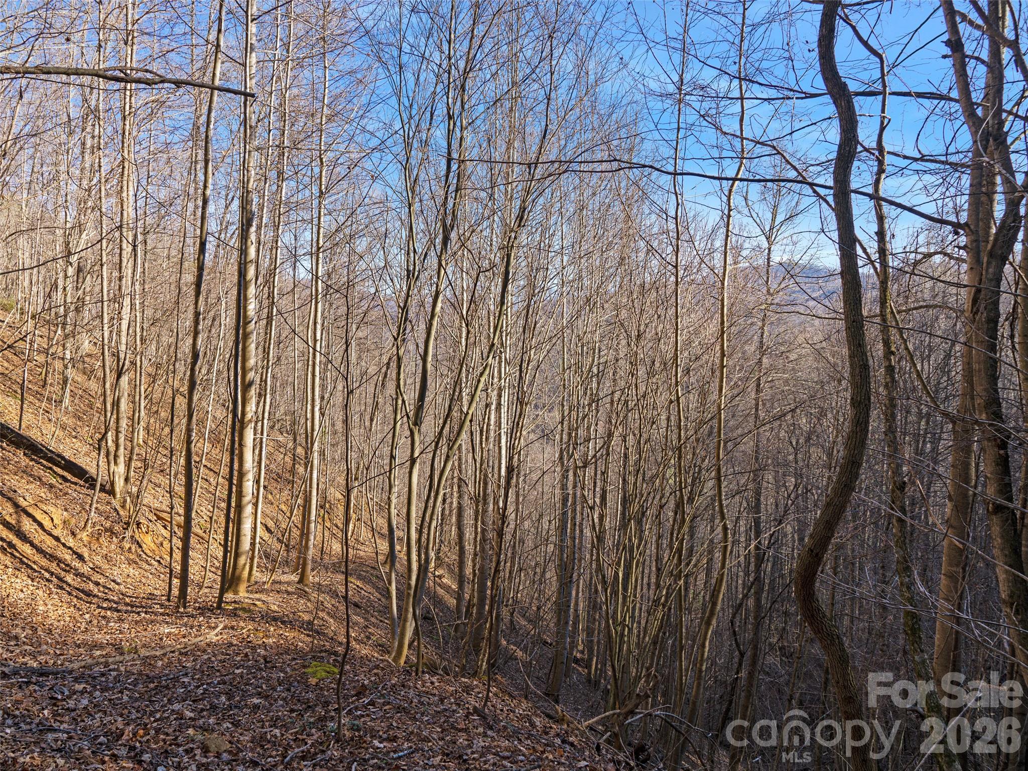 00 Lotties Creek Road Property Photo 7