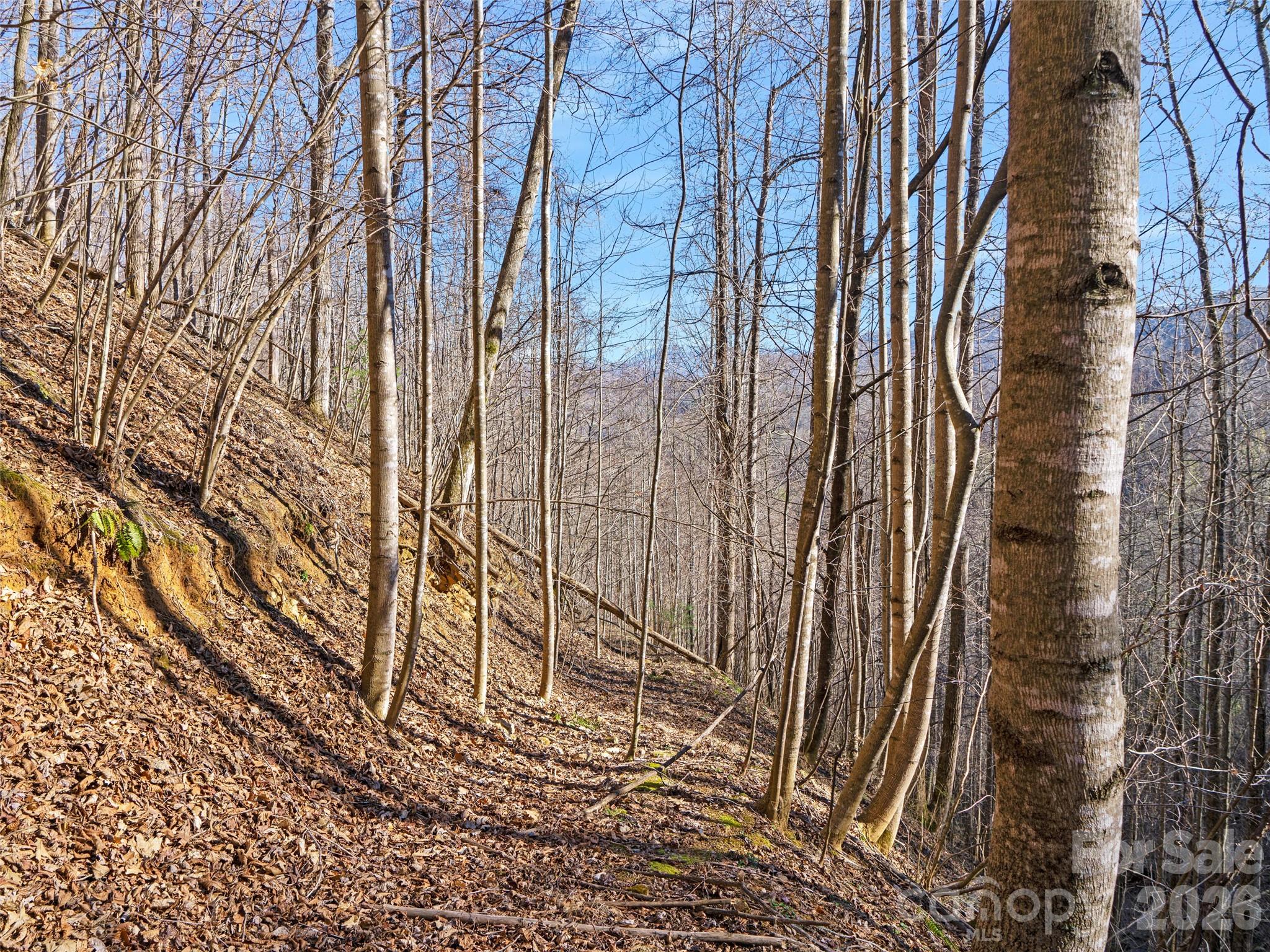 00 Lotties Creek Road Property Photo 8