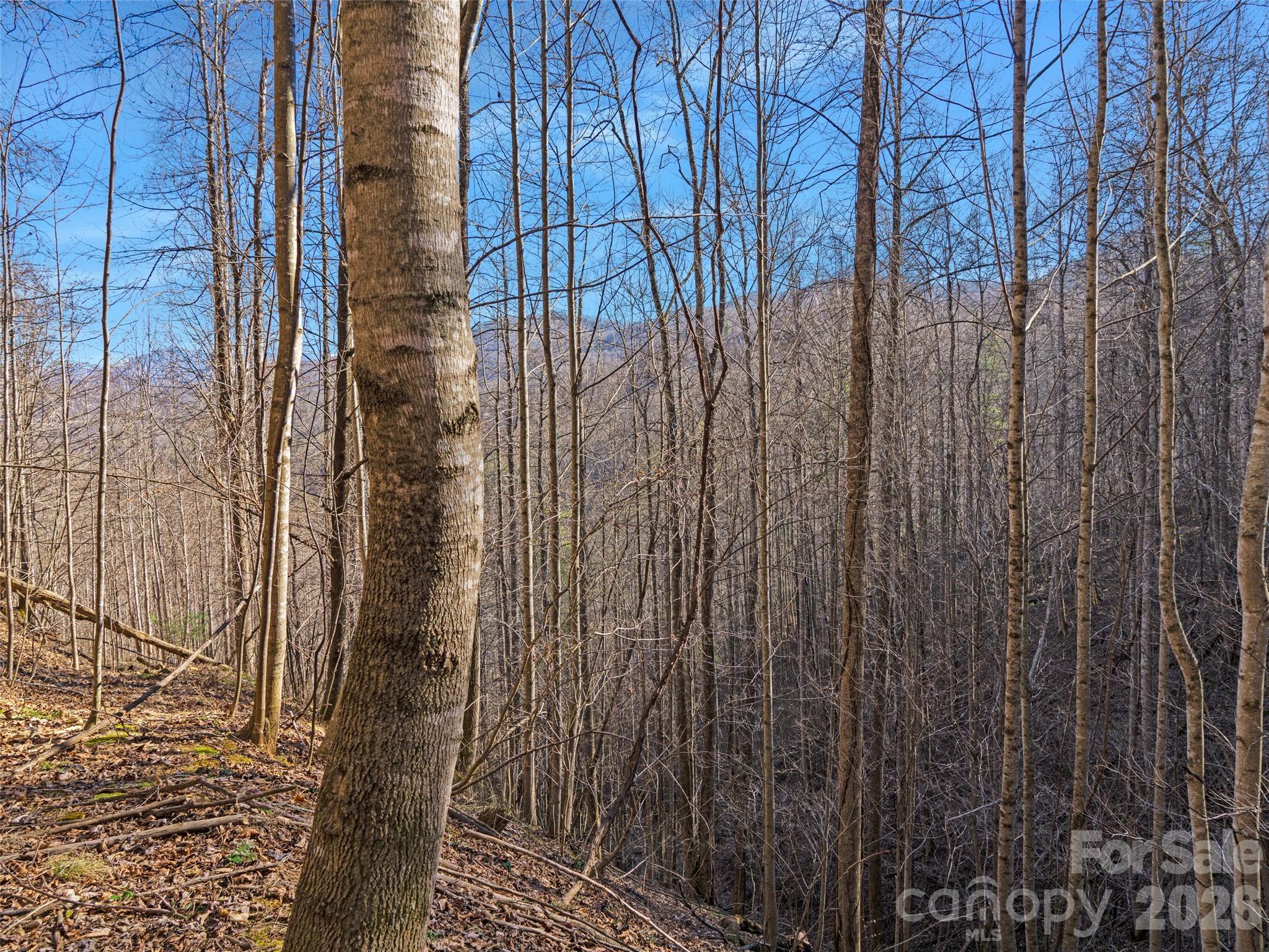 00 Lotties Creek Road Property Photo 9